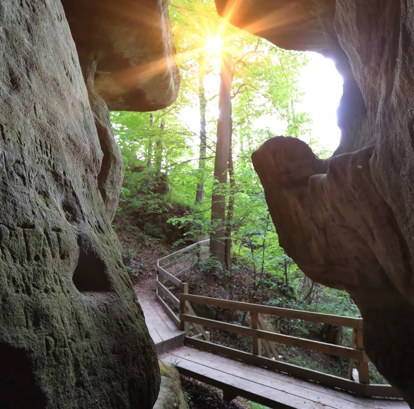 Schwäbisch-Fränkischer Wald 1