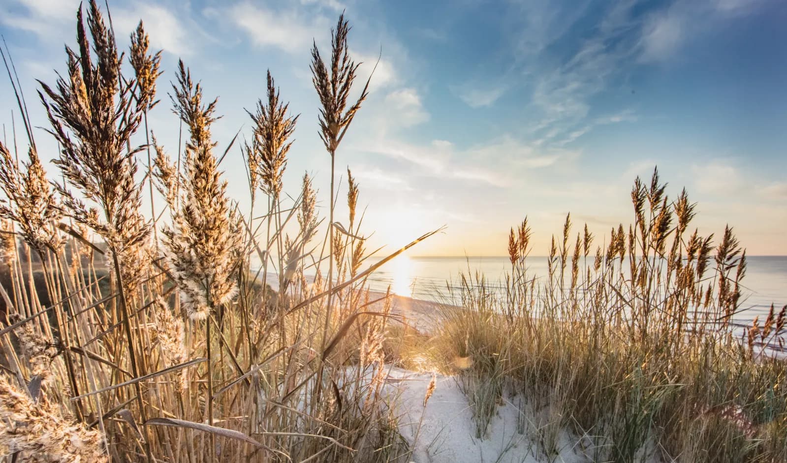 Urlaub an der Ostsee 1