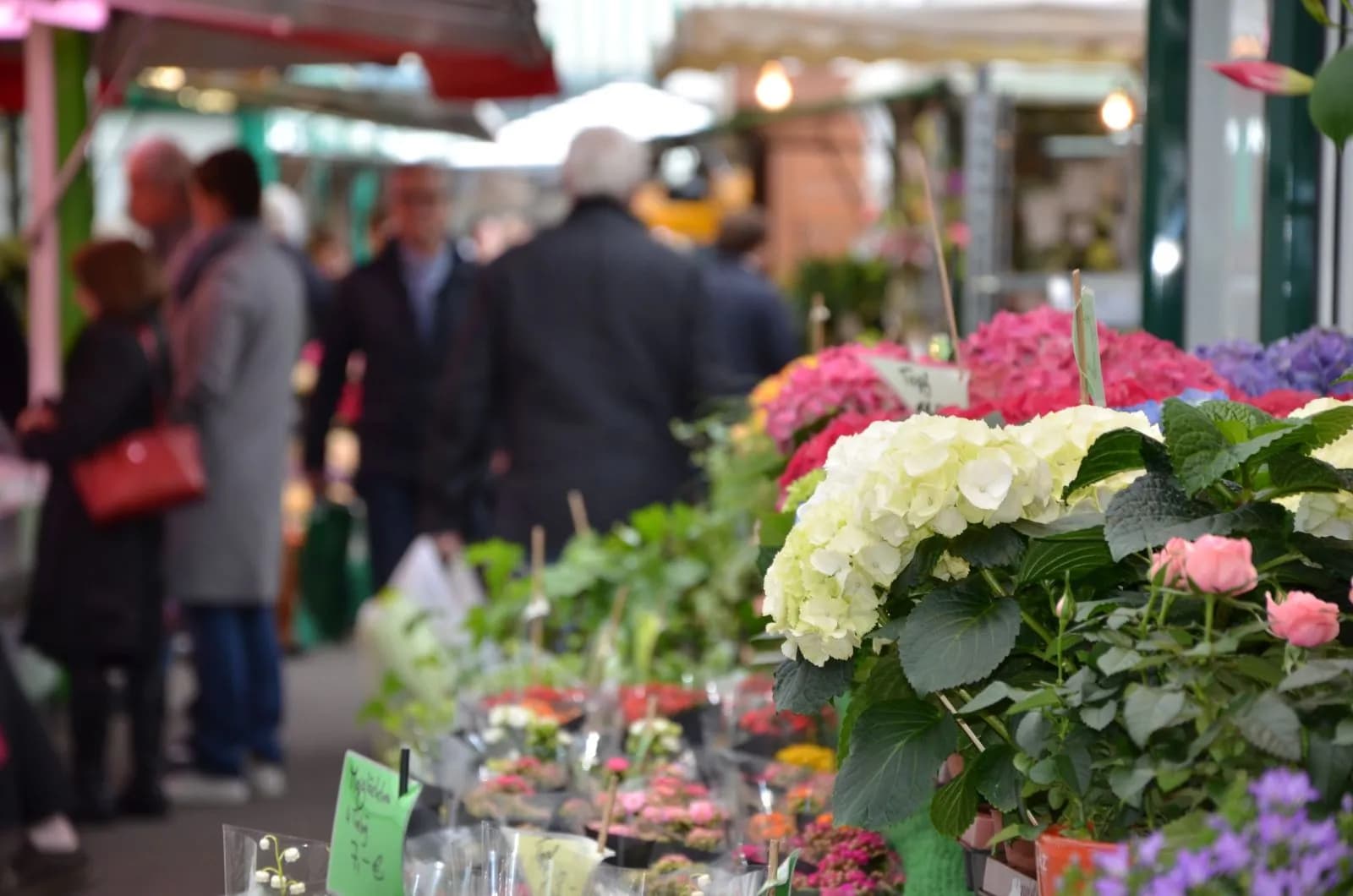 Carlsplatz – Der Markt 3