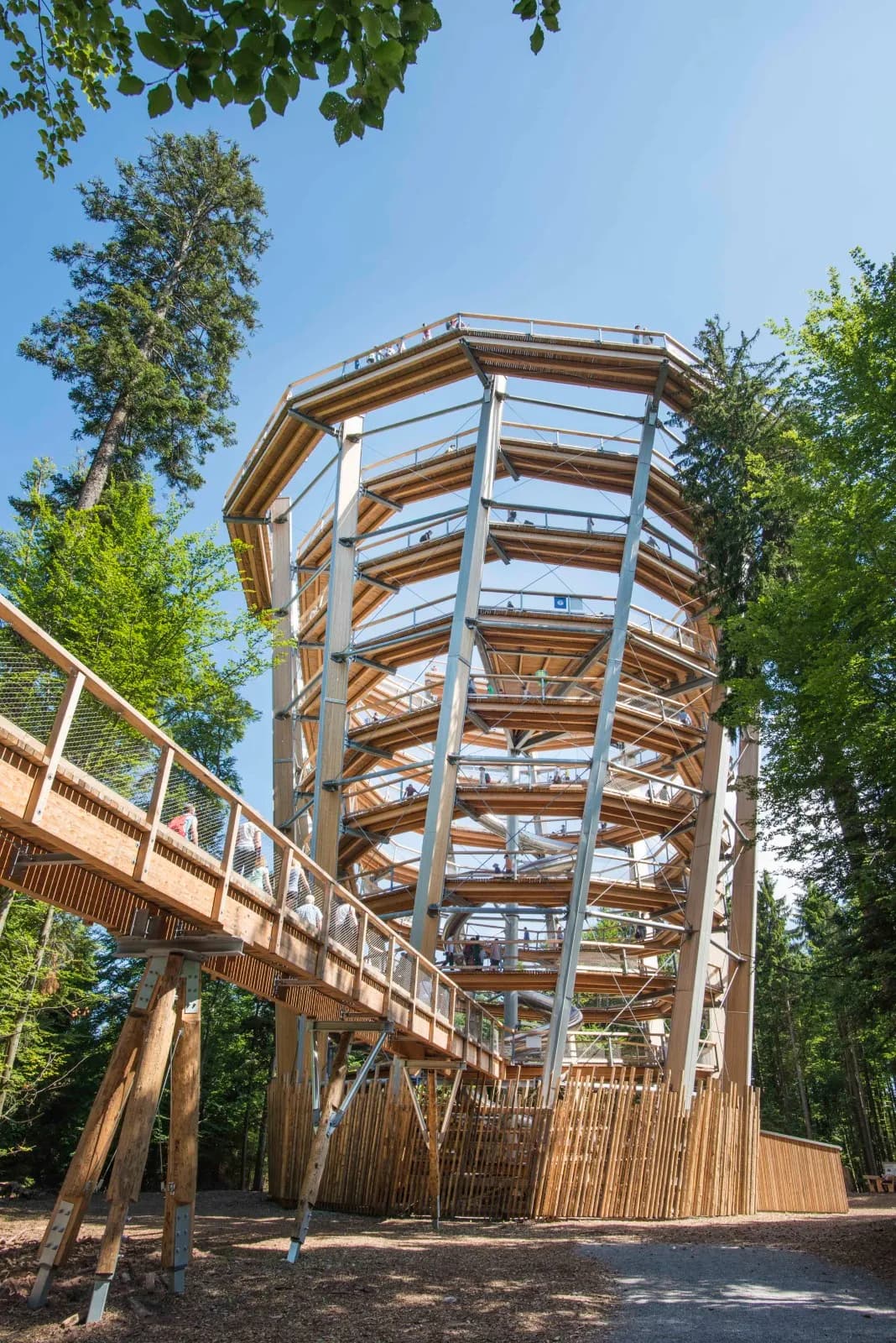 Baumwipfelpfad Schwarzwald 8