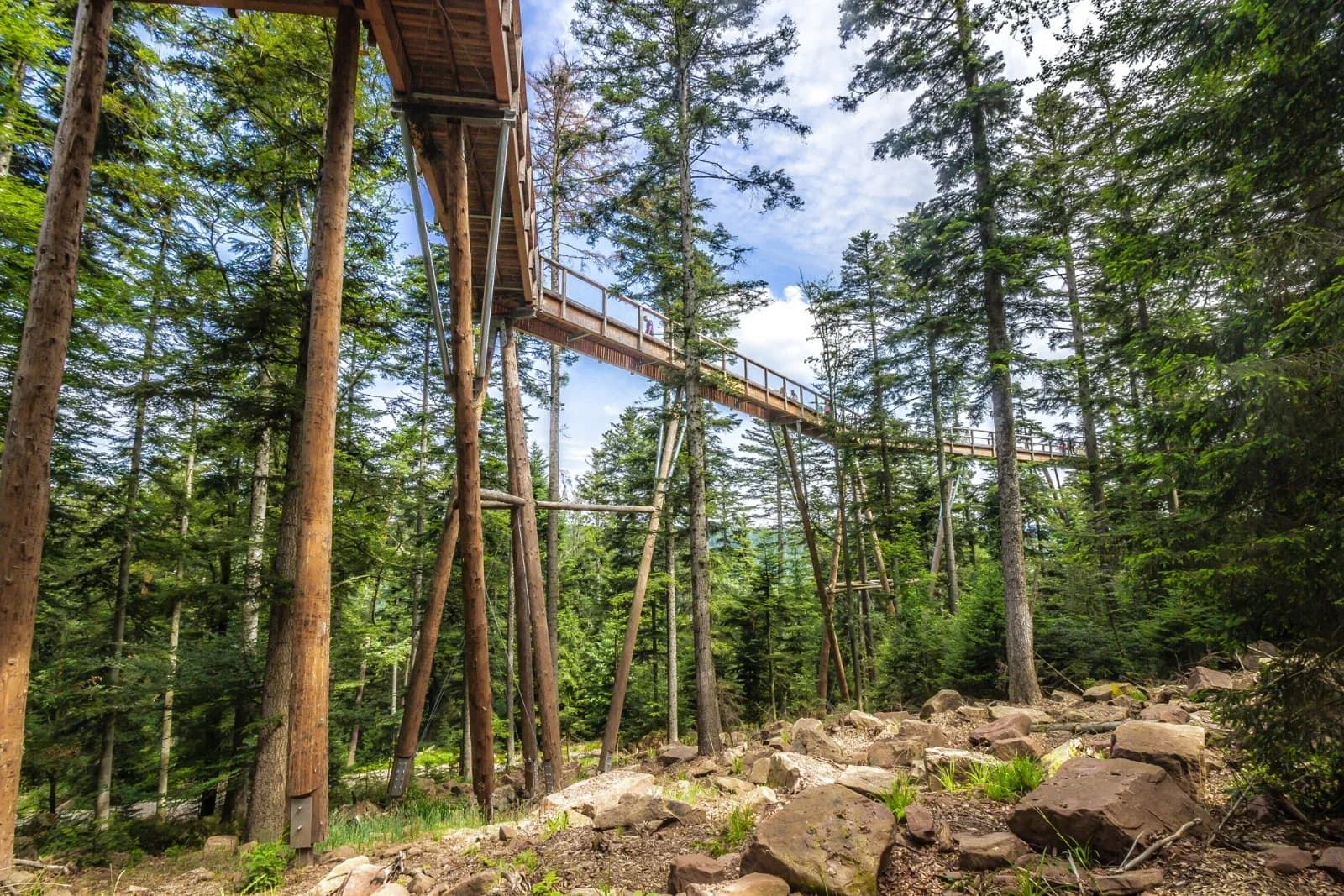 Baumwipfelpfad Schwarzwald 5