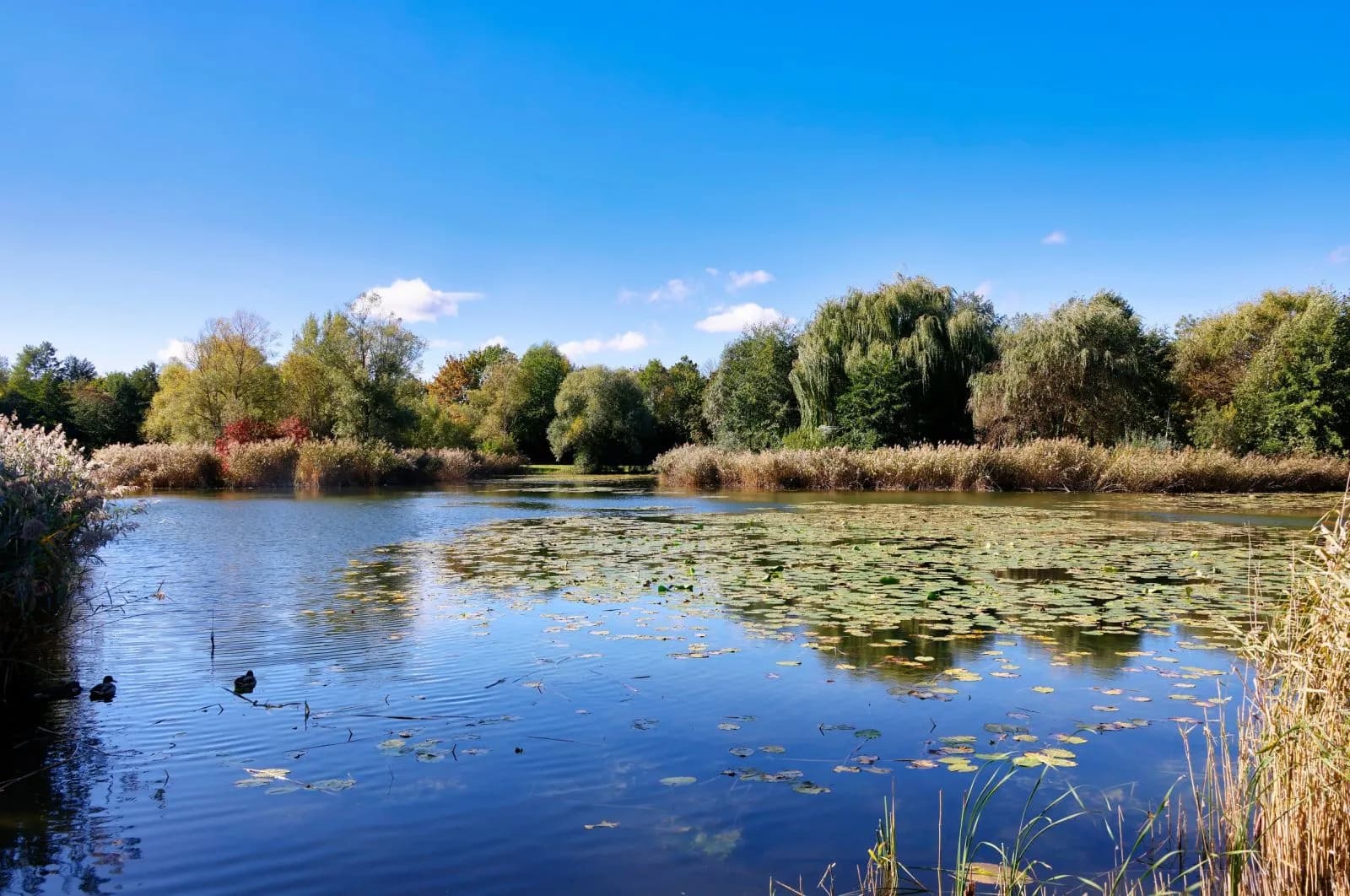 Ziegeleipark Heilbronn 2