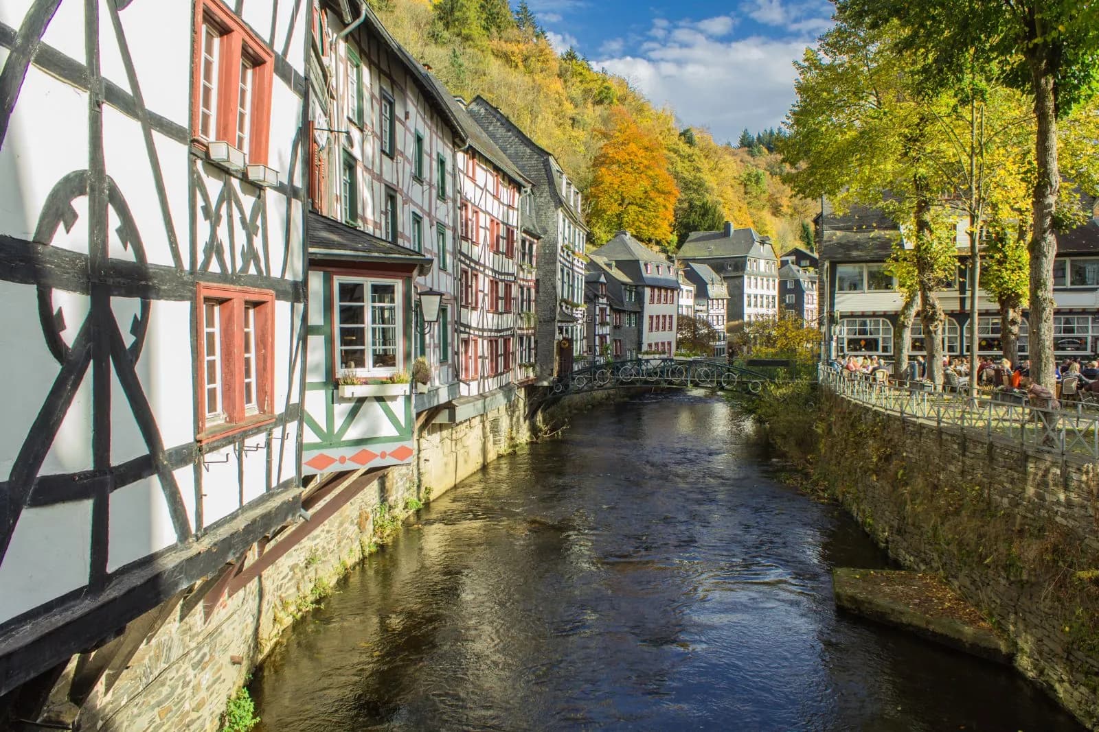 Nationalpark Eifel 3