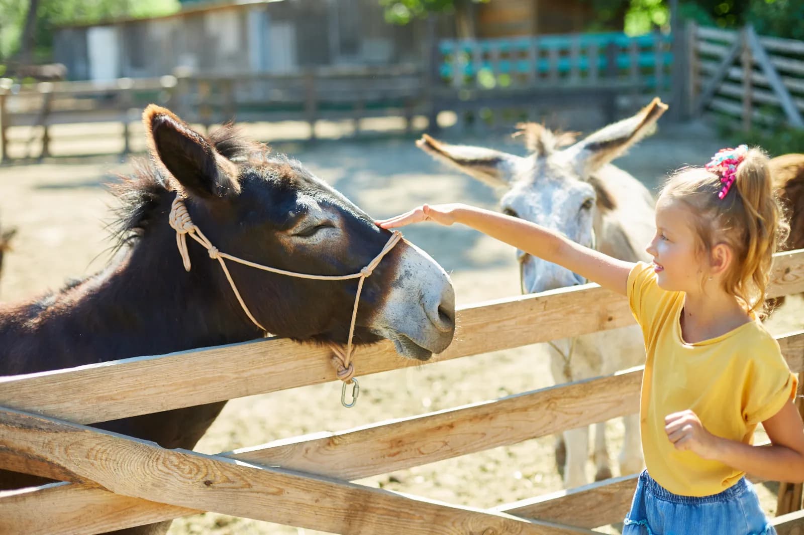 Der Kleine Tierpark Göppingen 1