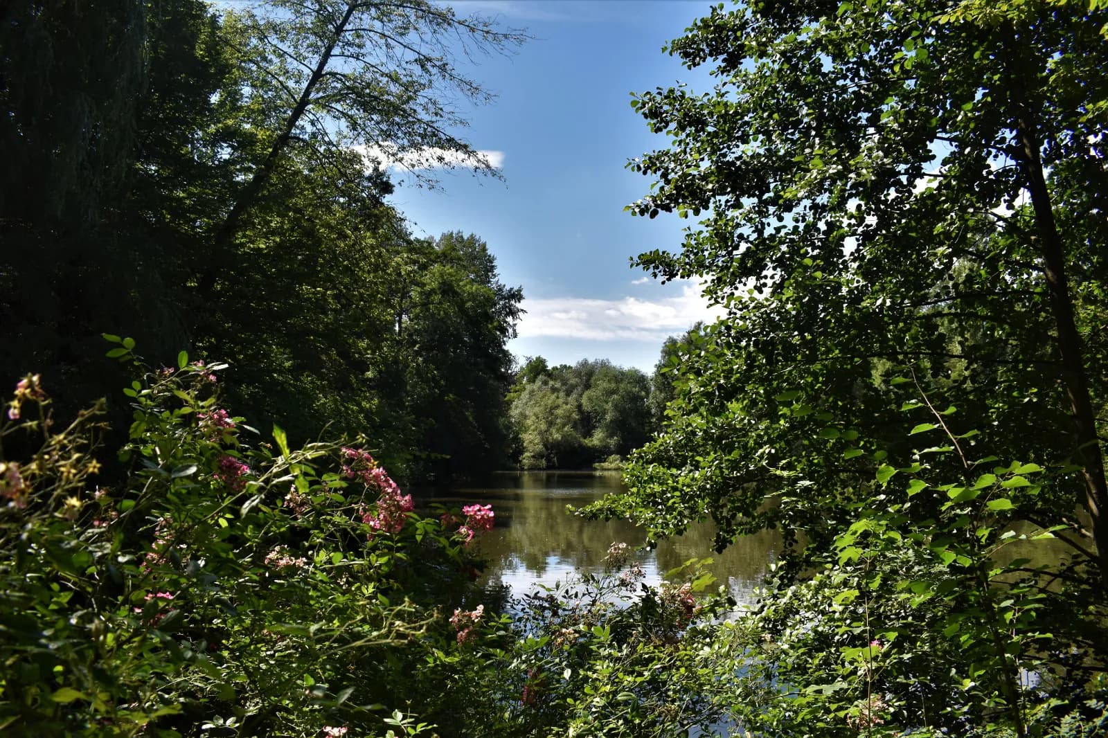 Tierpark Nymphaea 3