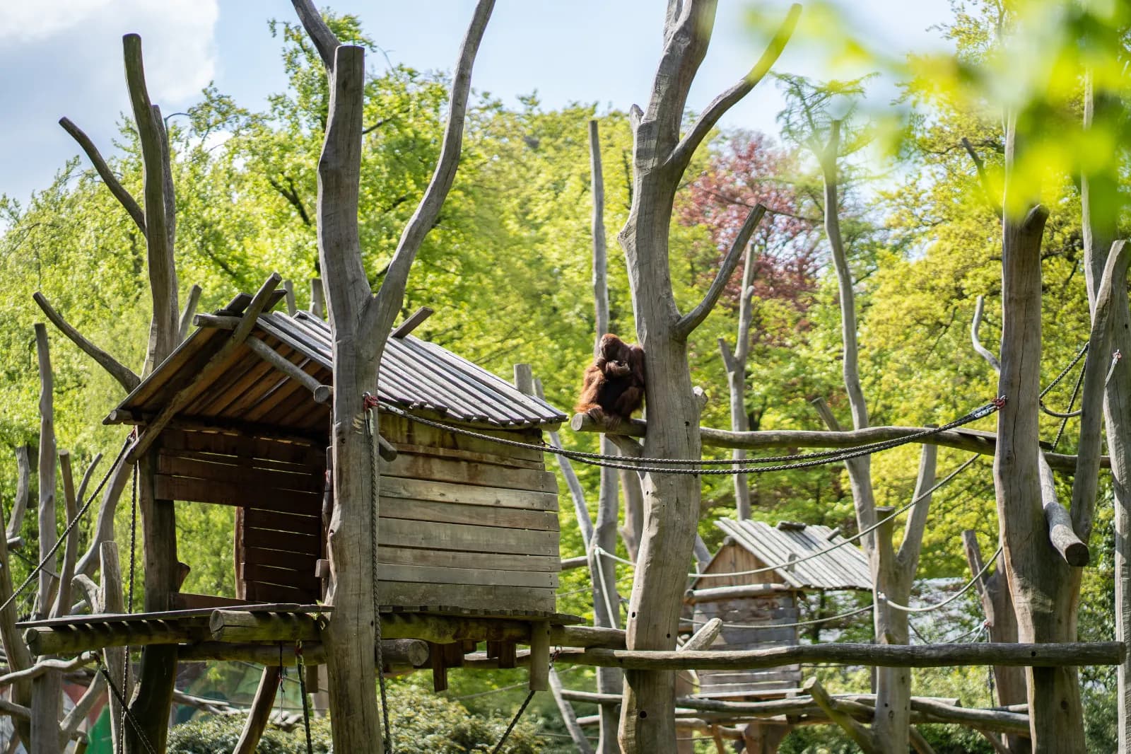 Zoo Dortmund