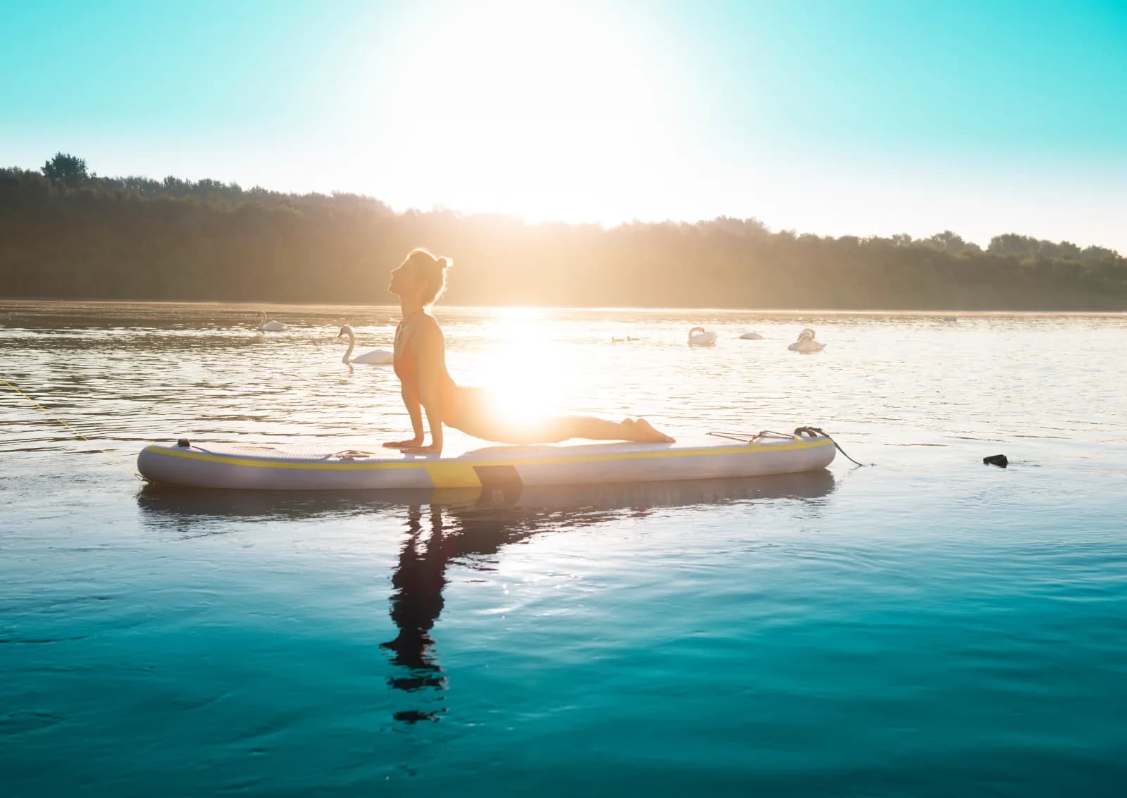 HAVEL SUP 1