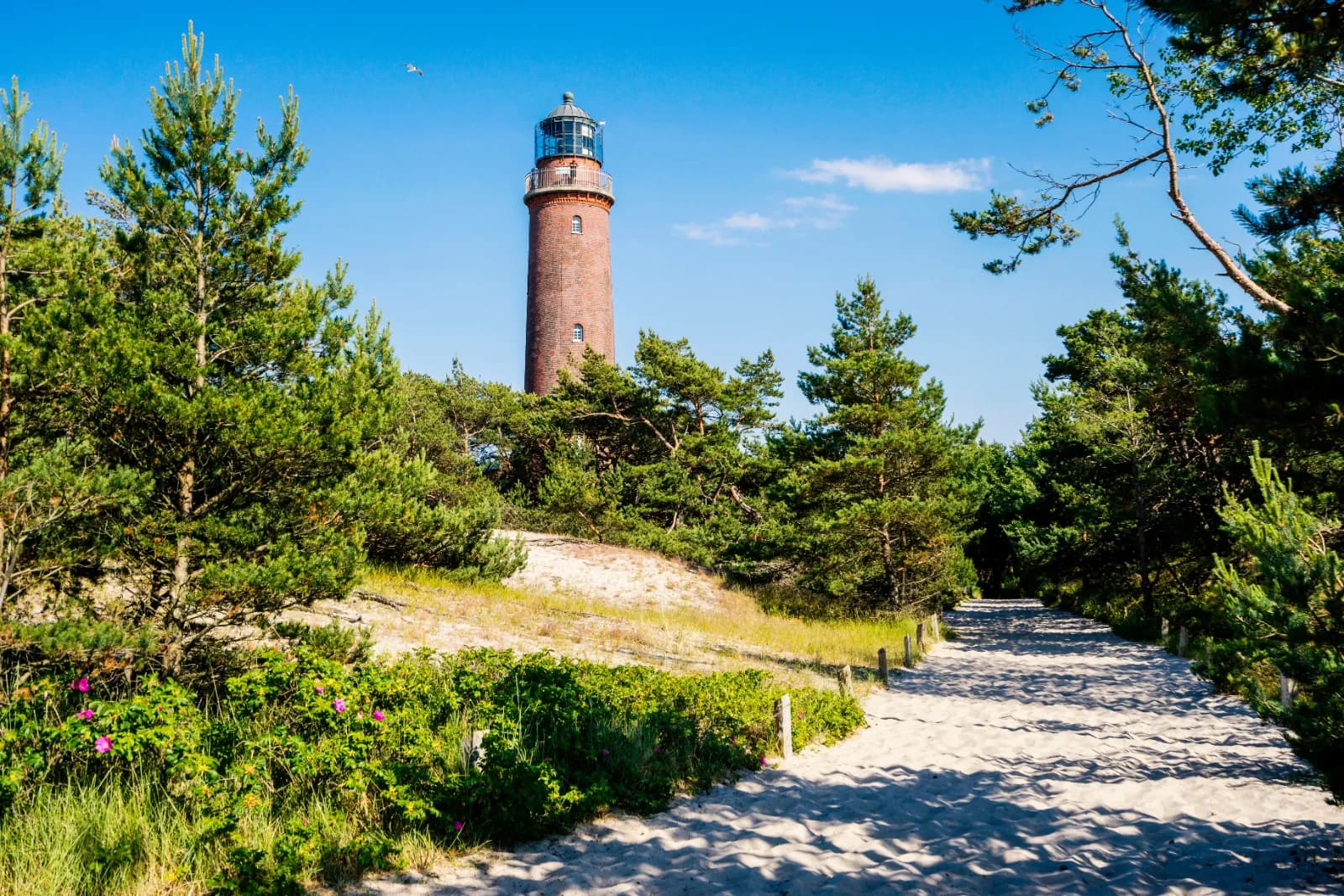 Leuchtturm Darßer Ort 1
