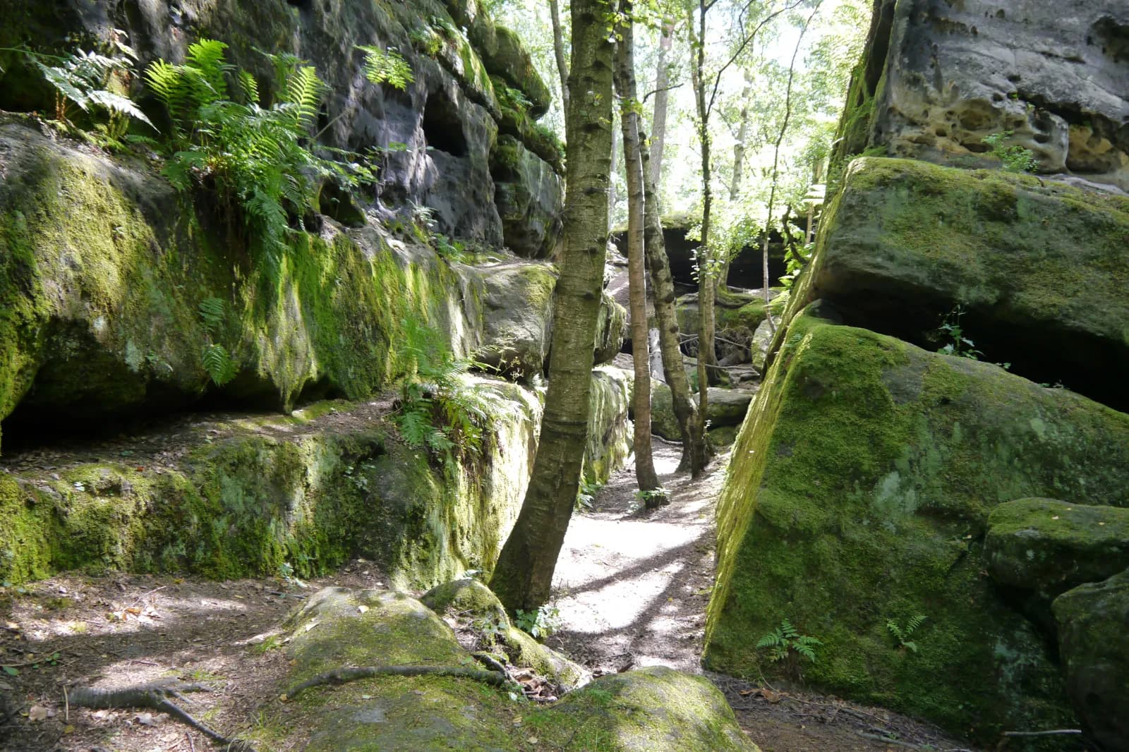 Felsenlabyrinth Langenhennersdorf 1
