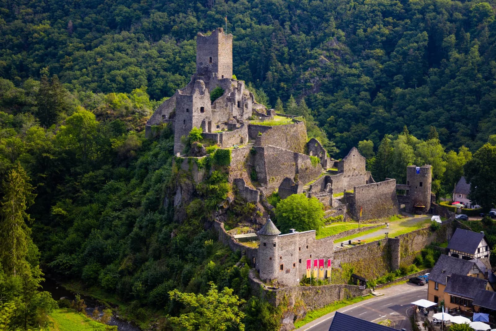 Niederburg Manderscheid 1