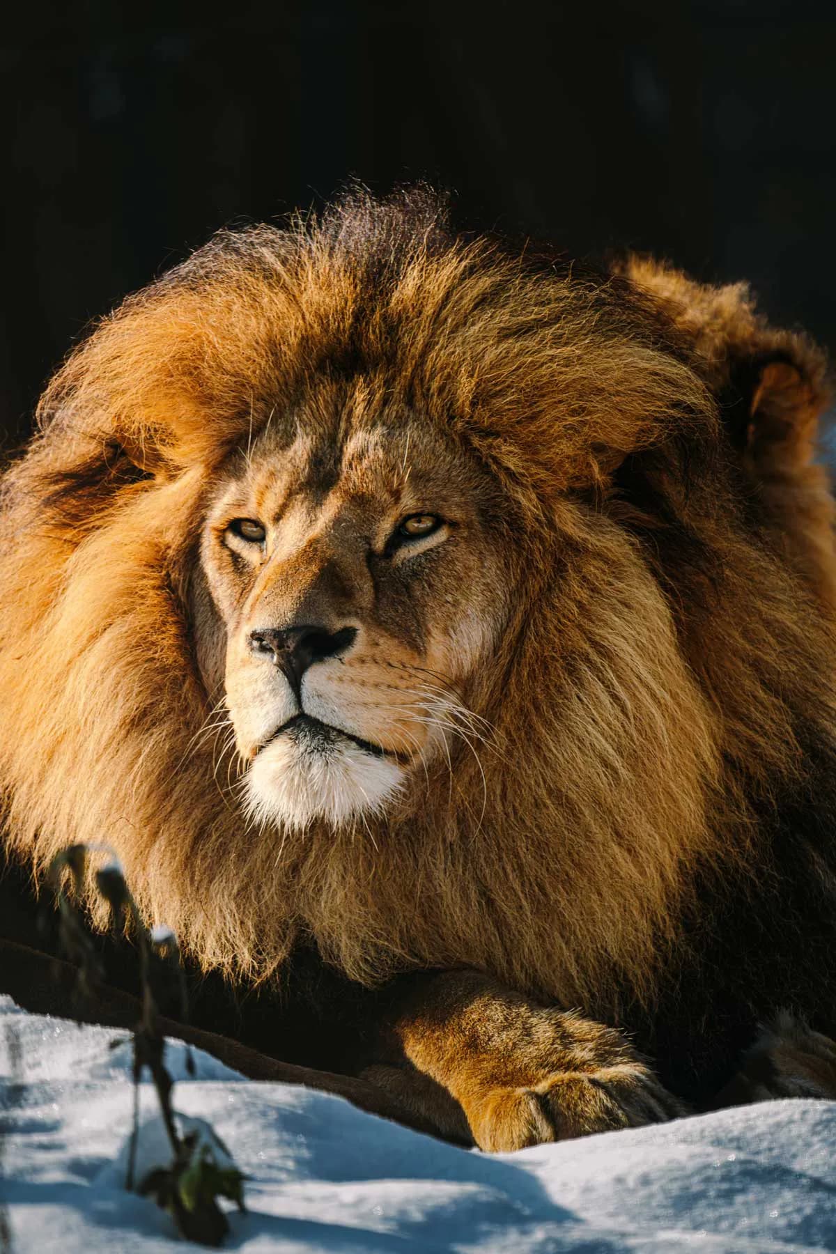 Tierpark Hellabrunn