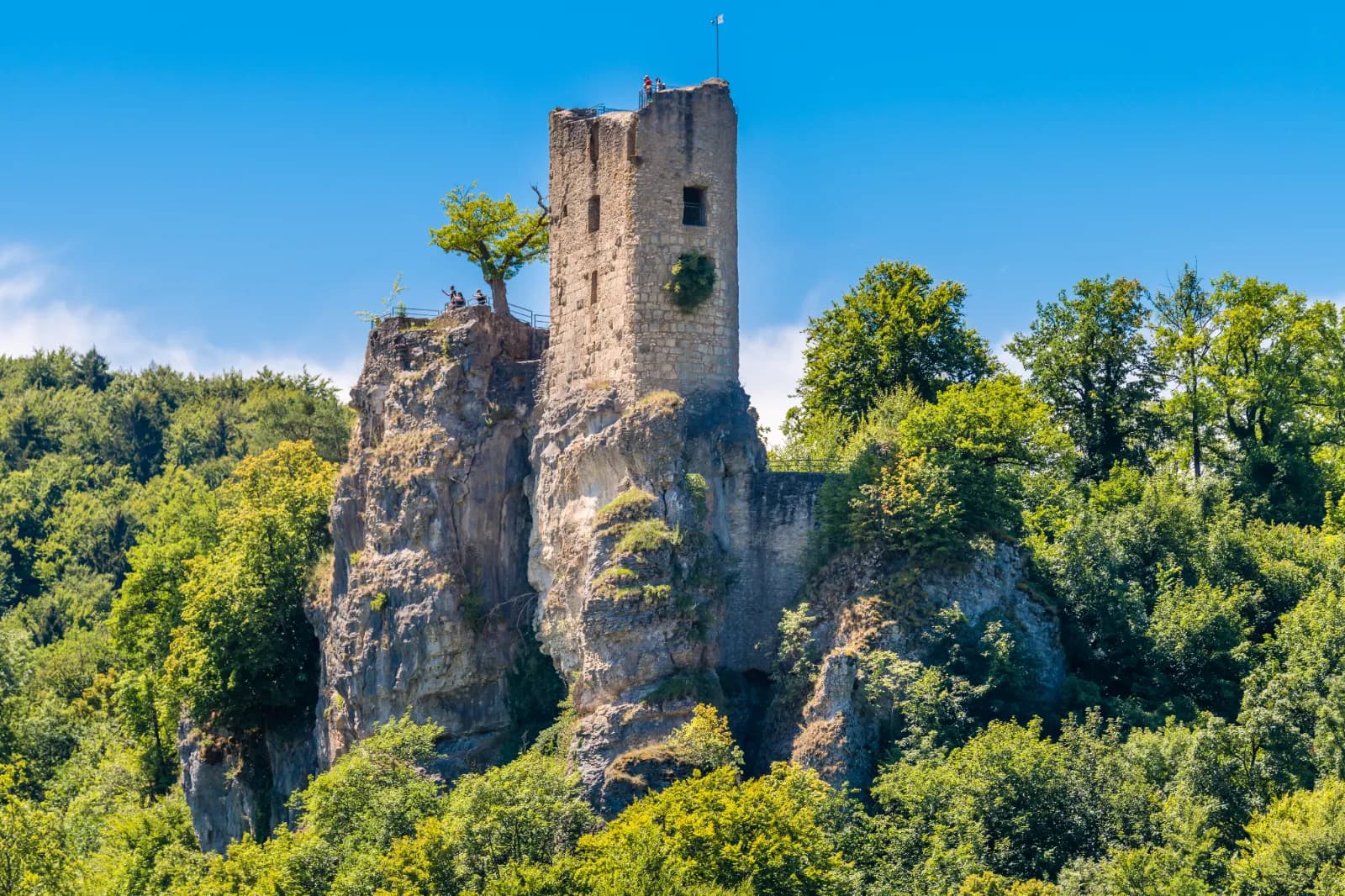 Burgruine Neideck 1