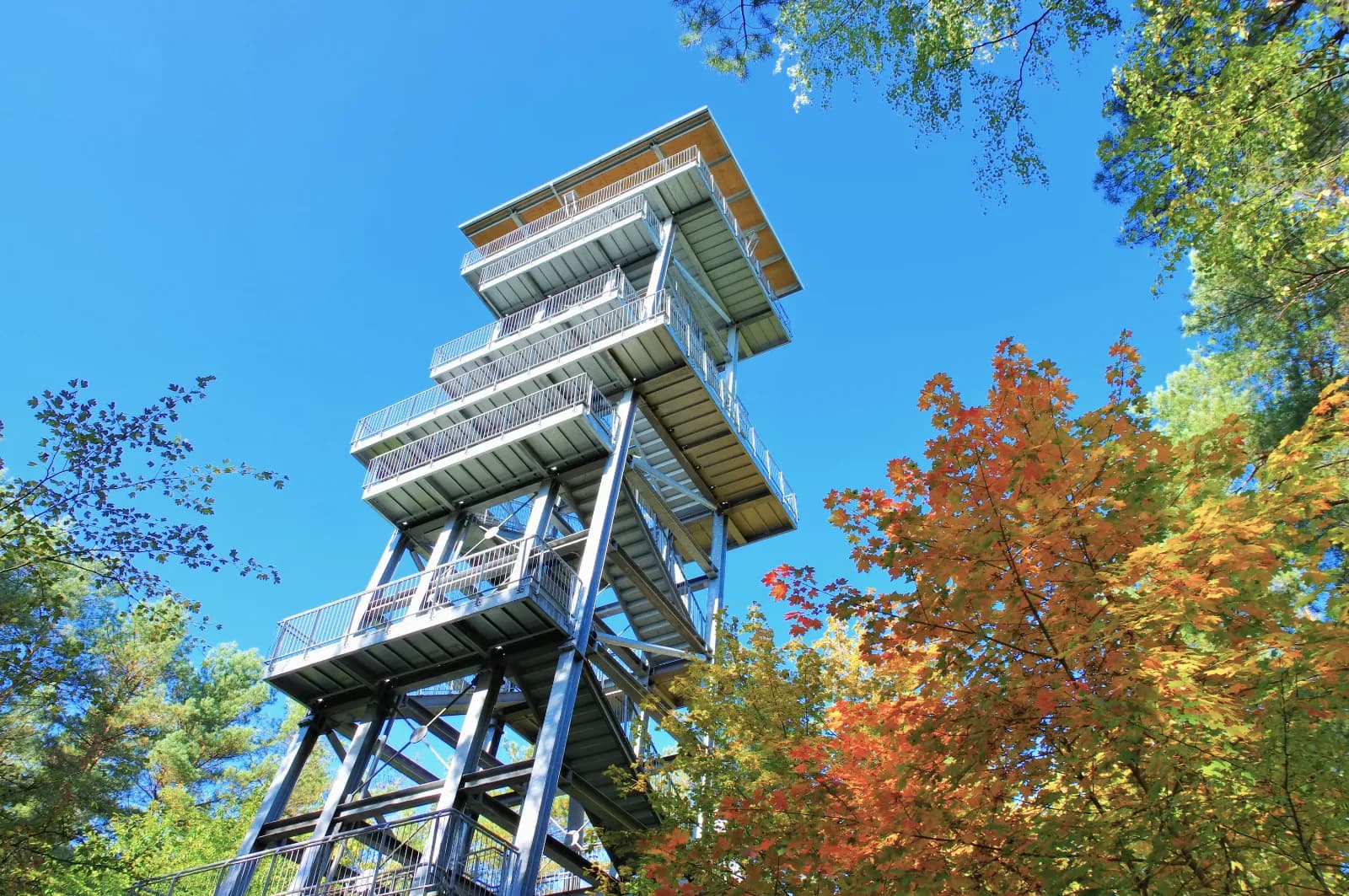 Aussichtsturm Senftenberger See 1