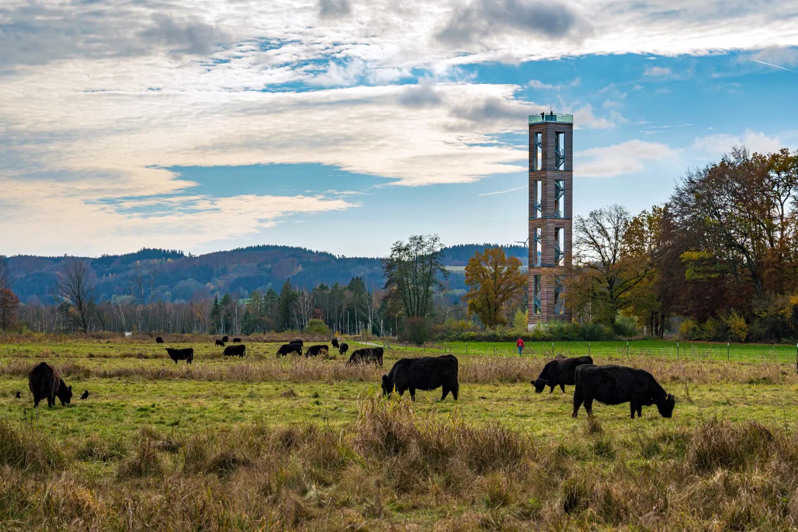 Bannwaldturm 1