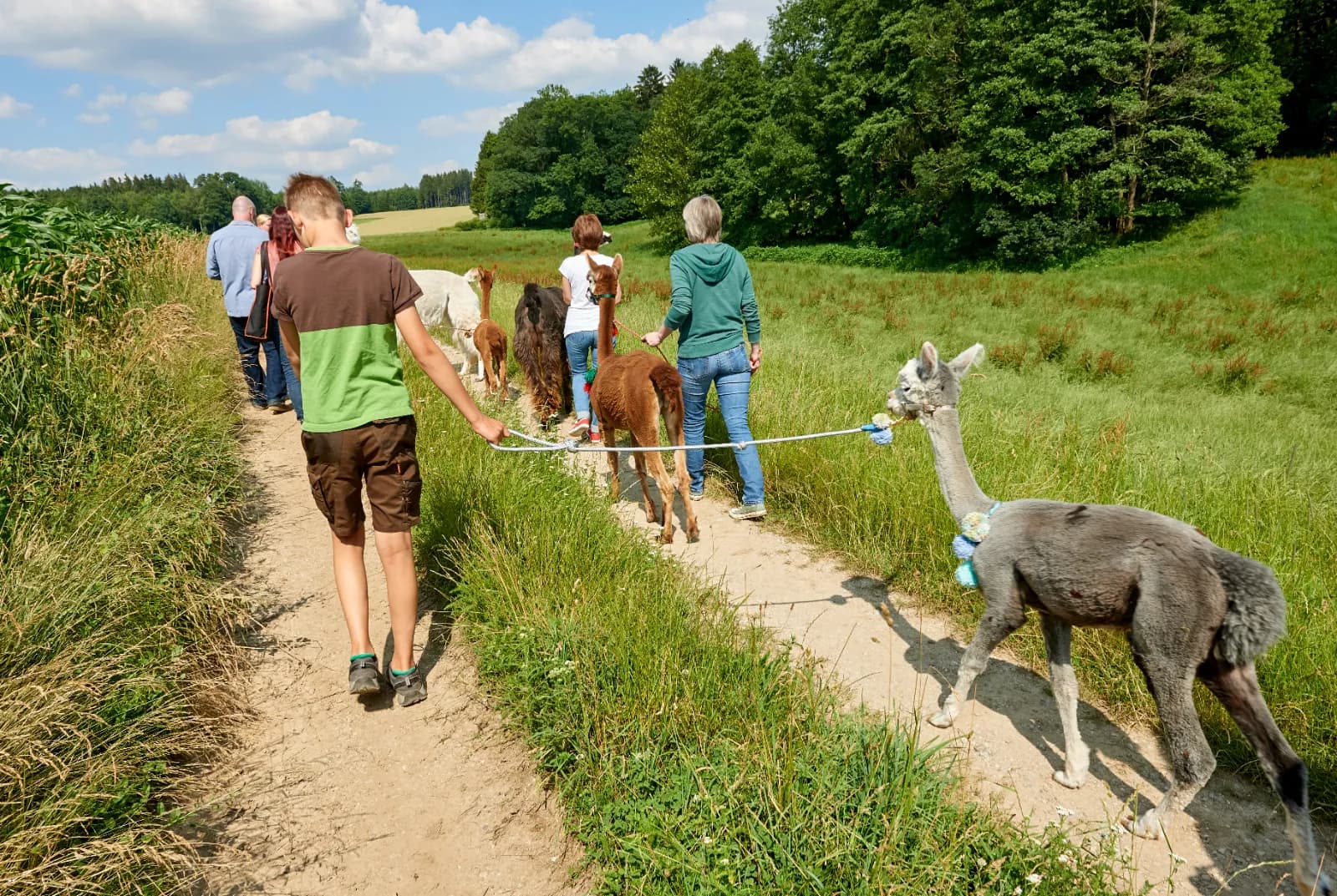 Daniels kleine Farm 1