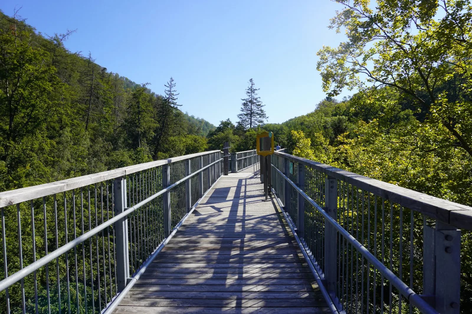 Baumwipfelpfad Harz 1