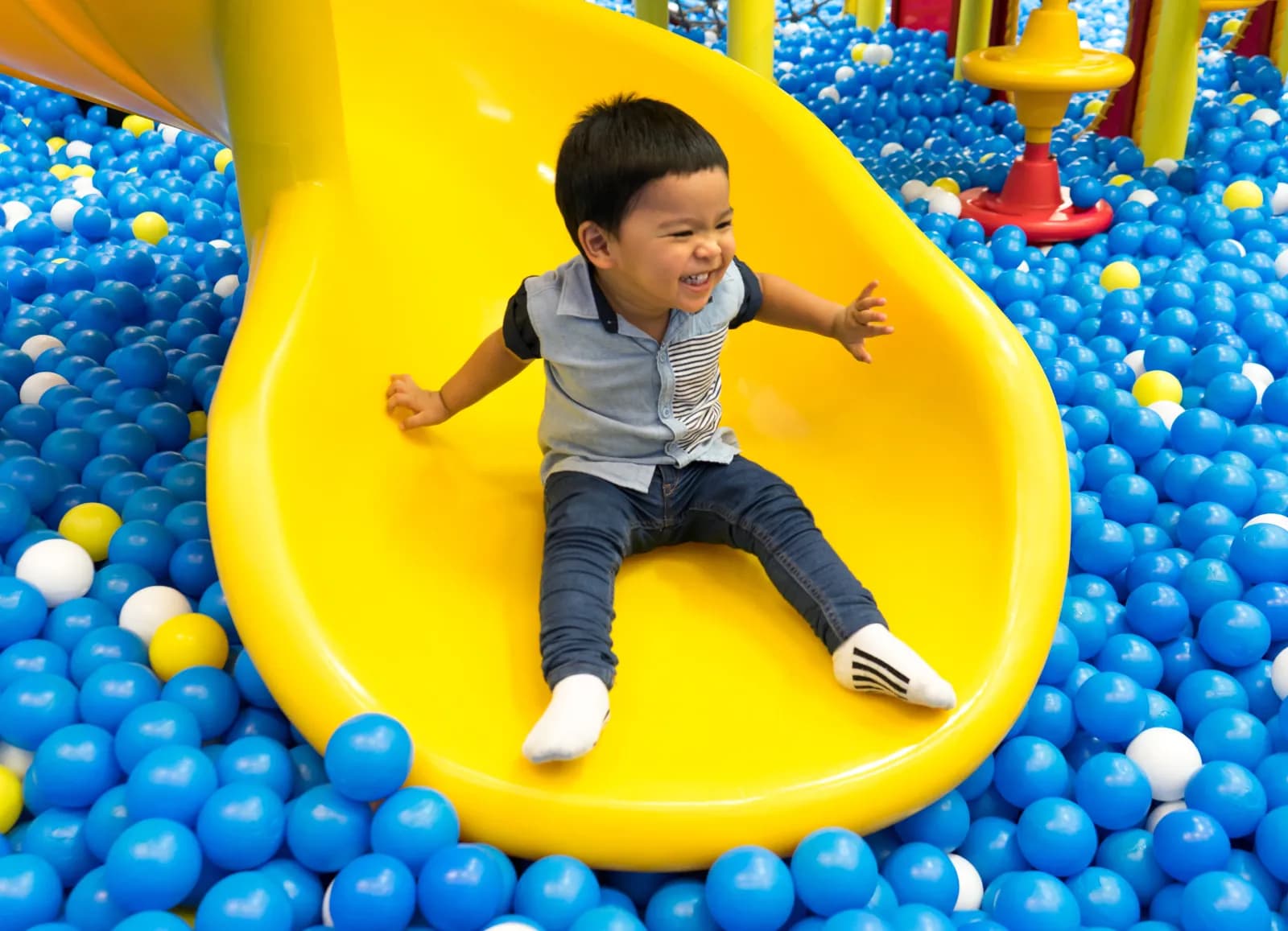 Allgäulino Wertach 1