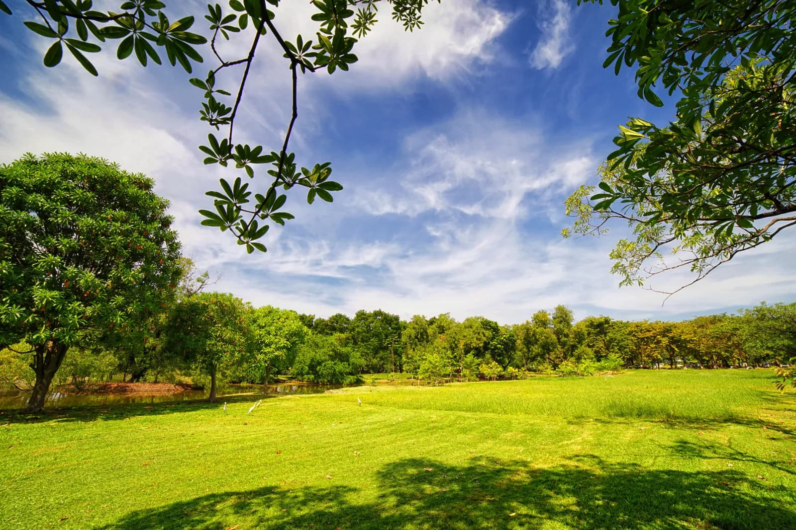 Volkspark Potsdam 1