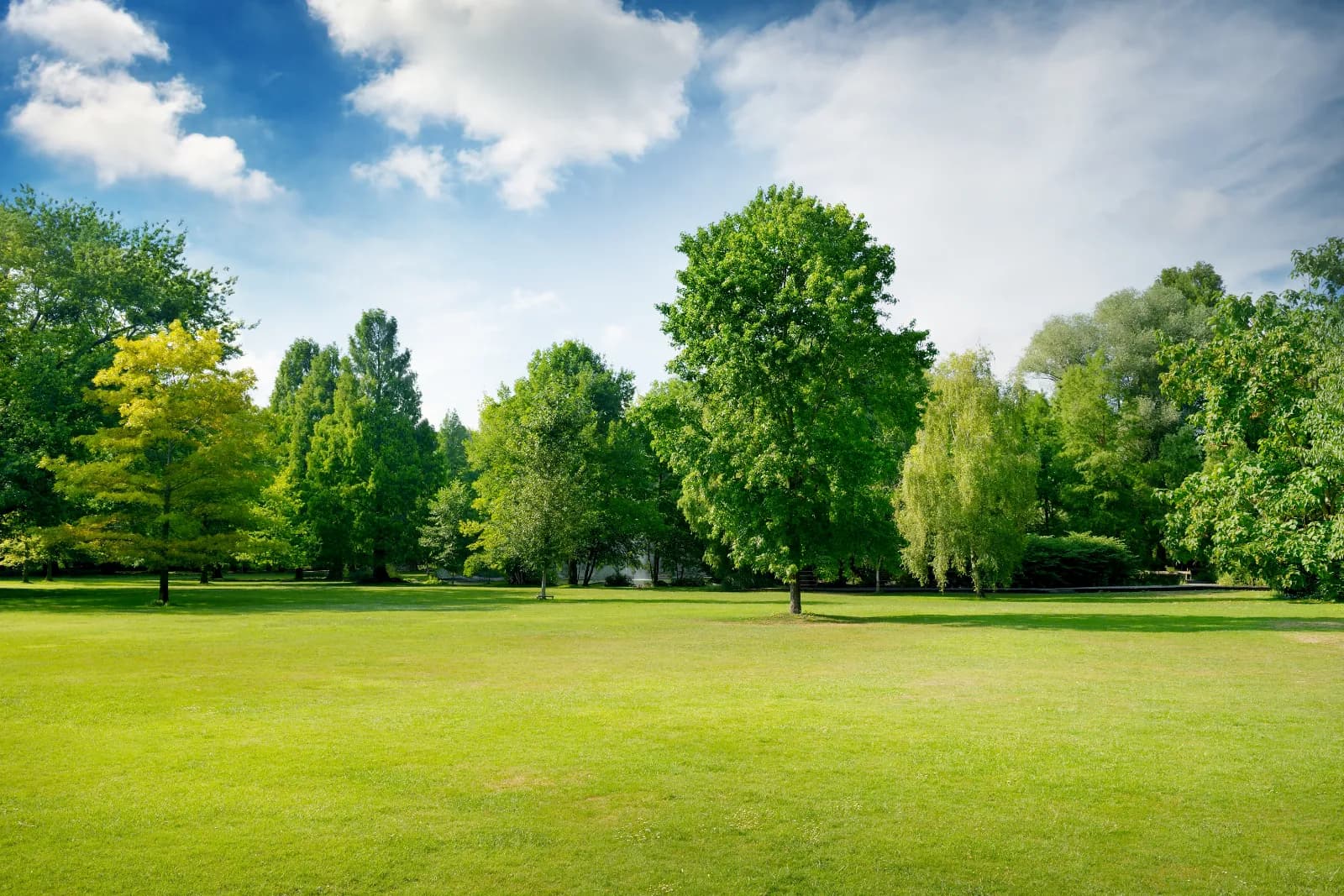 Höchster Stadtpark 1