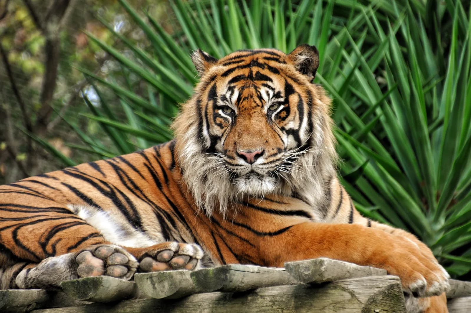 Der Grüne Zoo Wuppertal 1