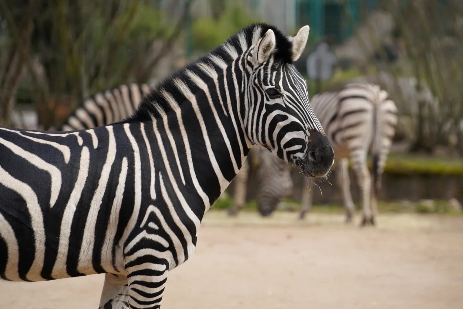 Zoo Landau in der Pfalz 1