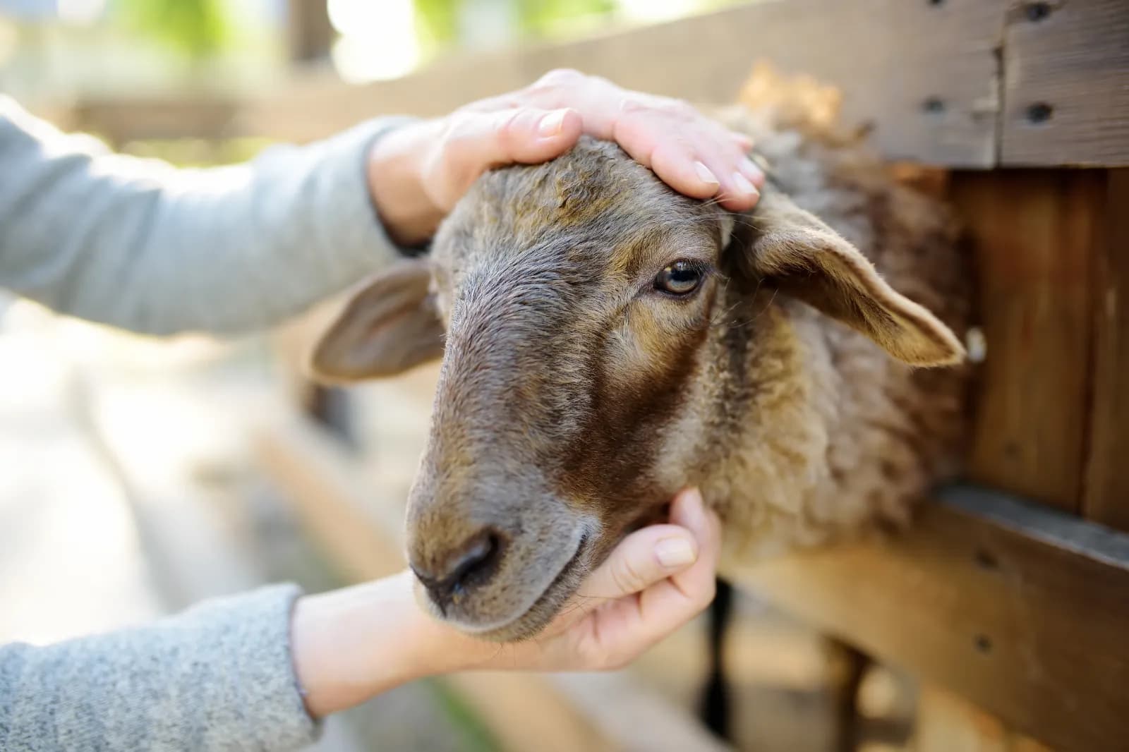 Tiergehege im Kaisergarten 1
