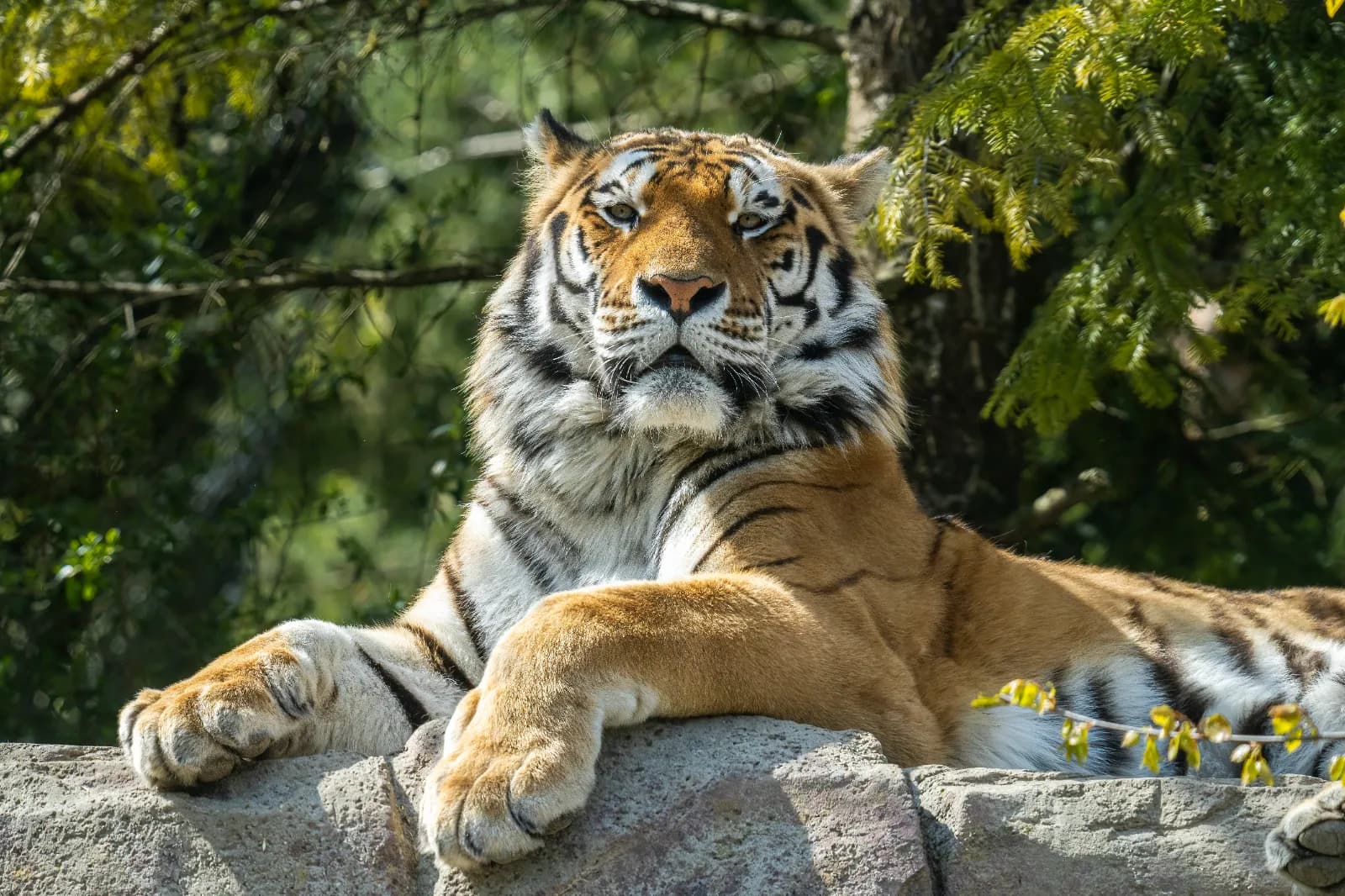 Zoo Braunschweig 1