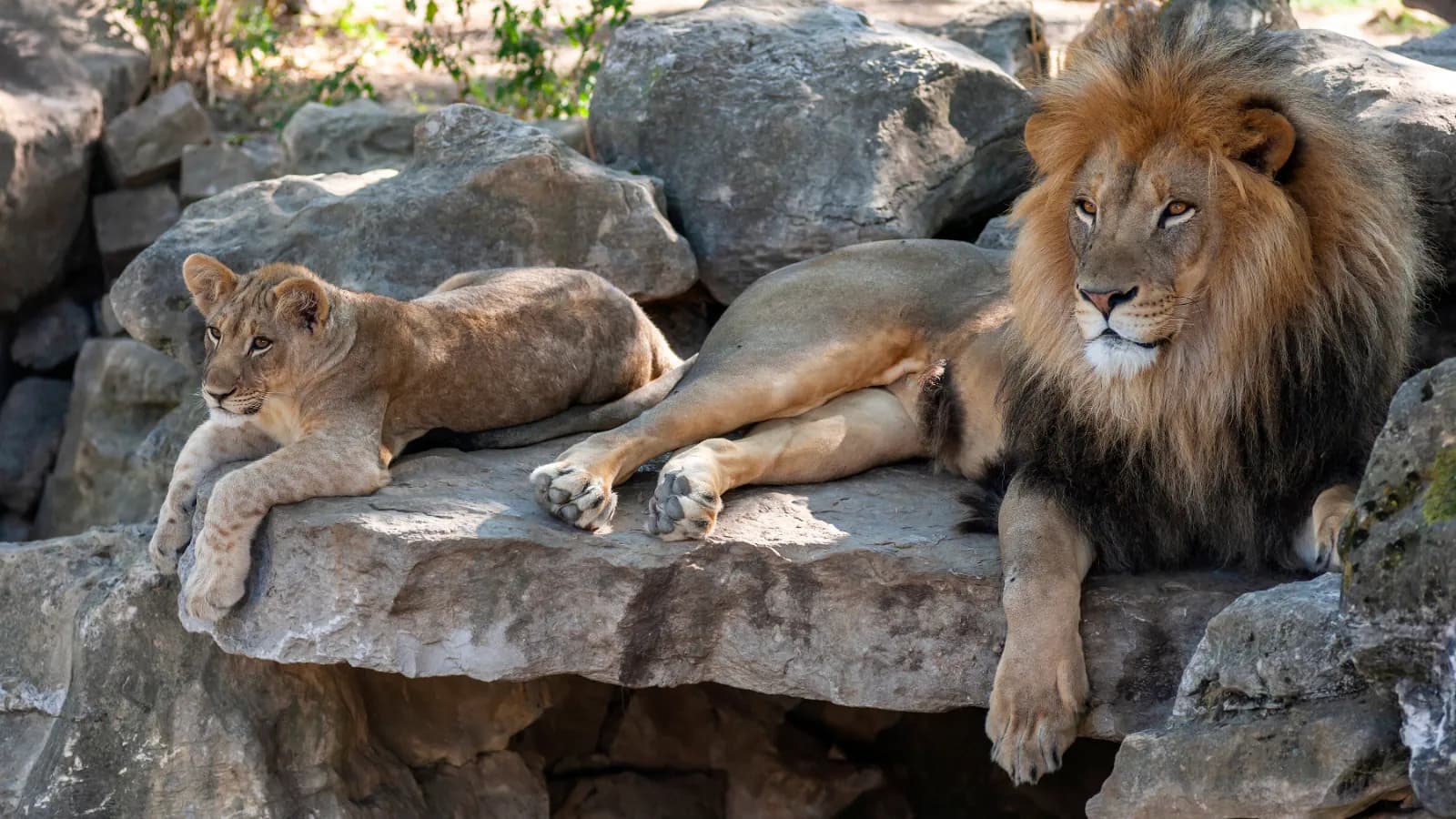 Zoo Stralsund 1
