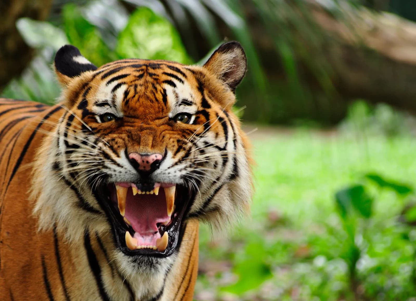 Tierpark Gotha
