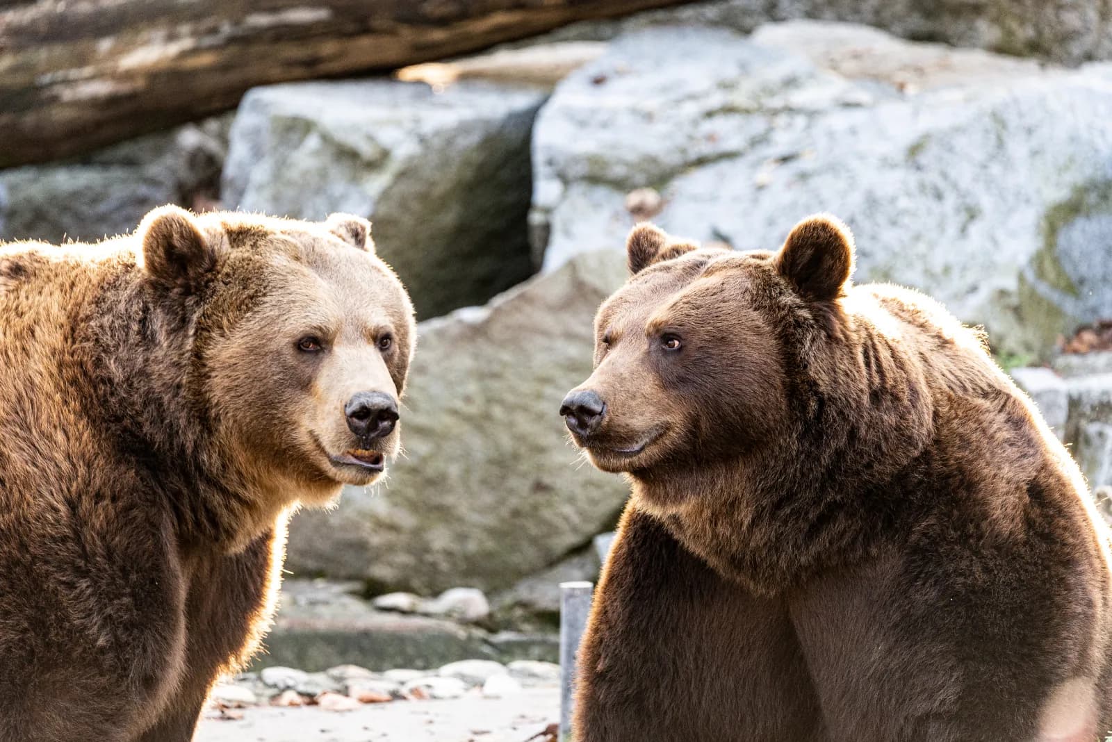 Tierpark Dessau 1