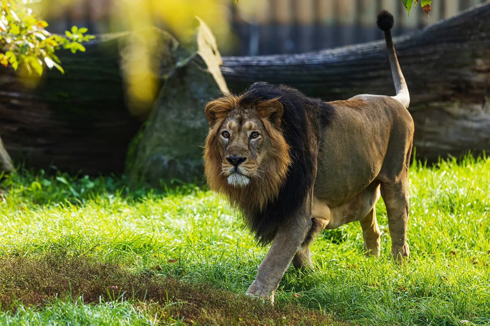 Tierpark Gera 1