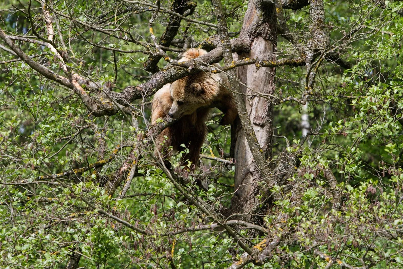 Wildpark Poing 3