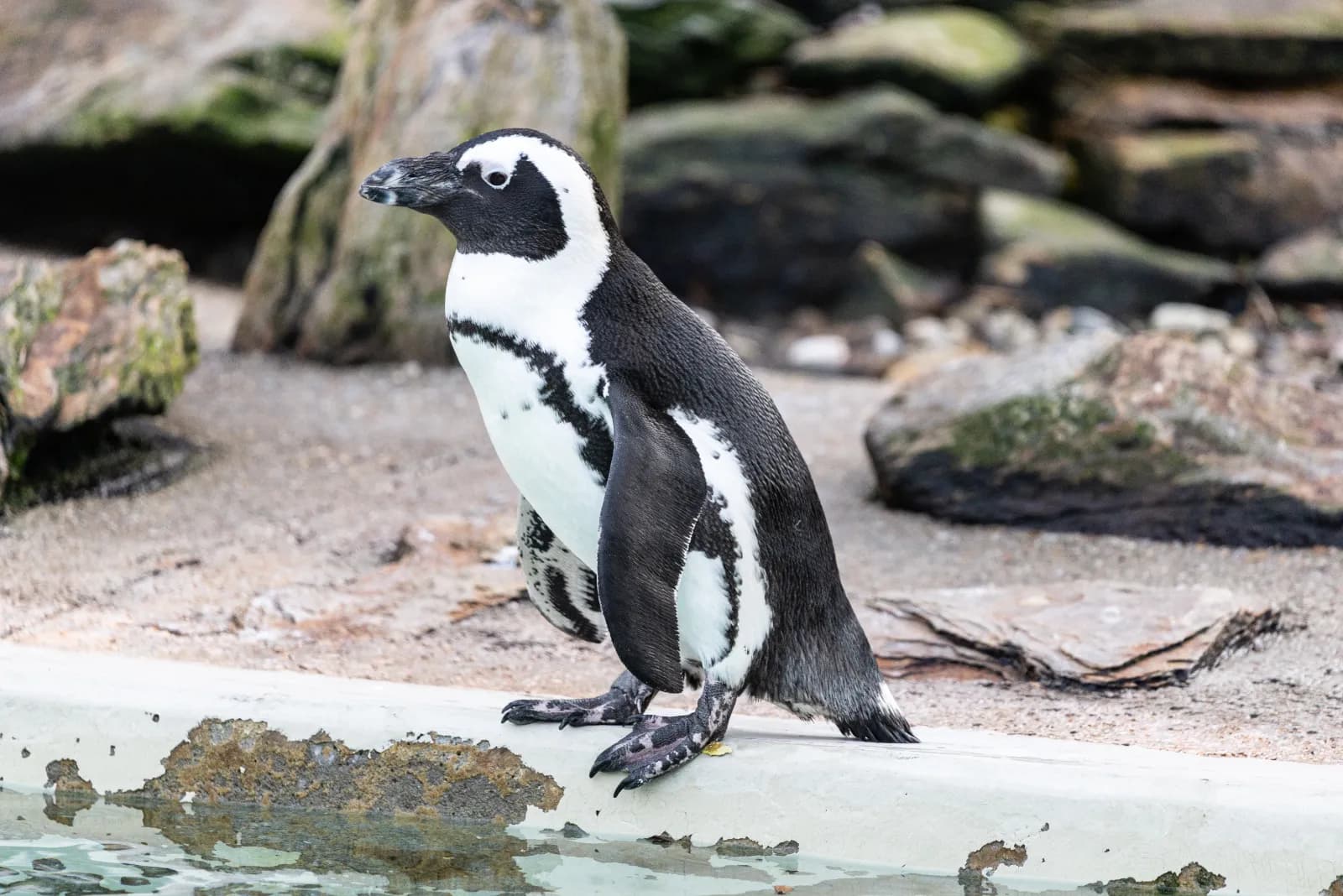 Zoo Hoyerswerda 1