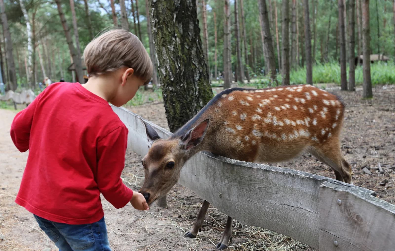 Naturwildpark Freisen 1