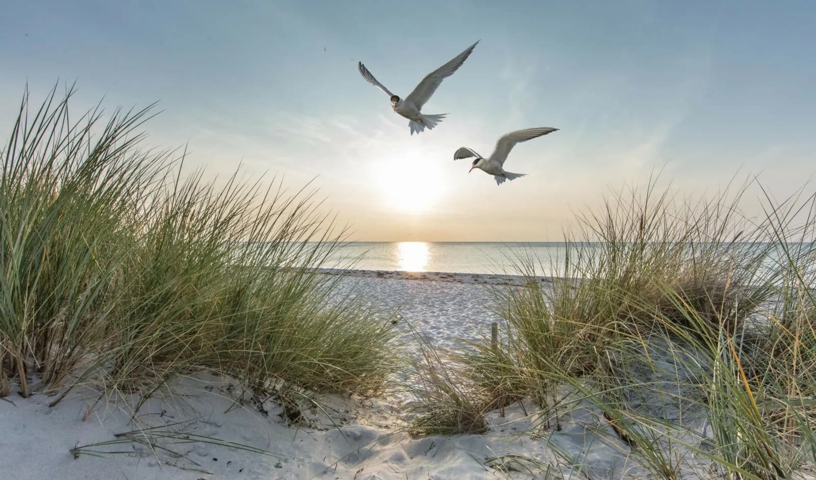 Strand Norddeich
