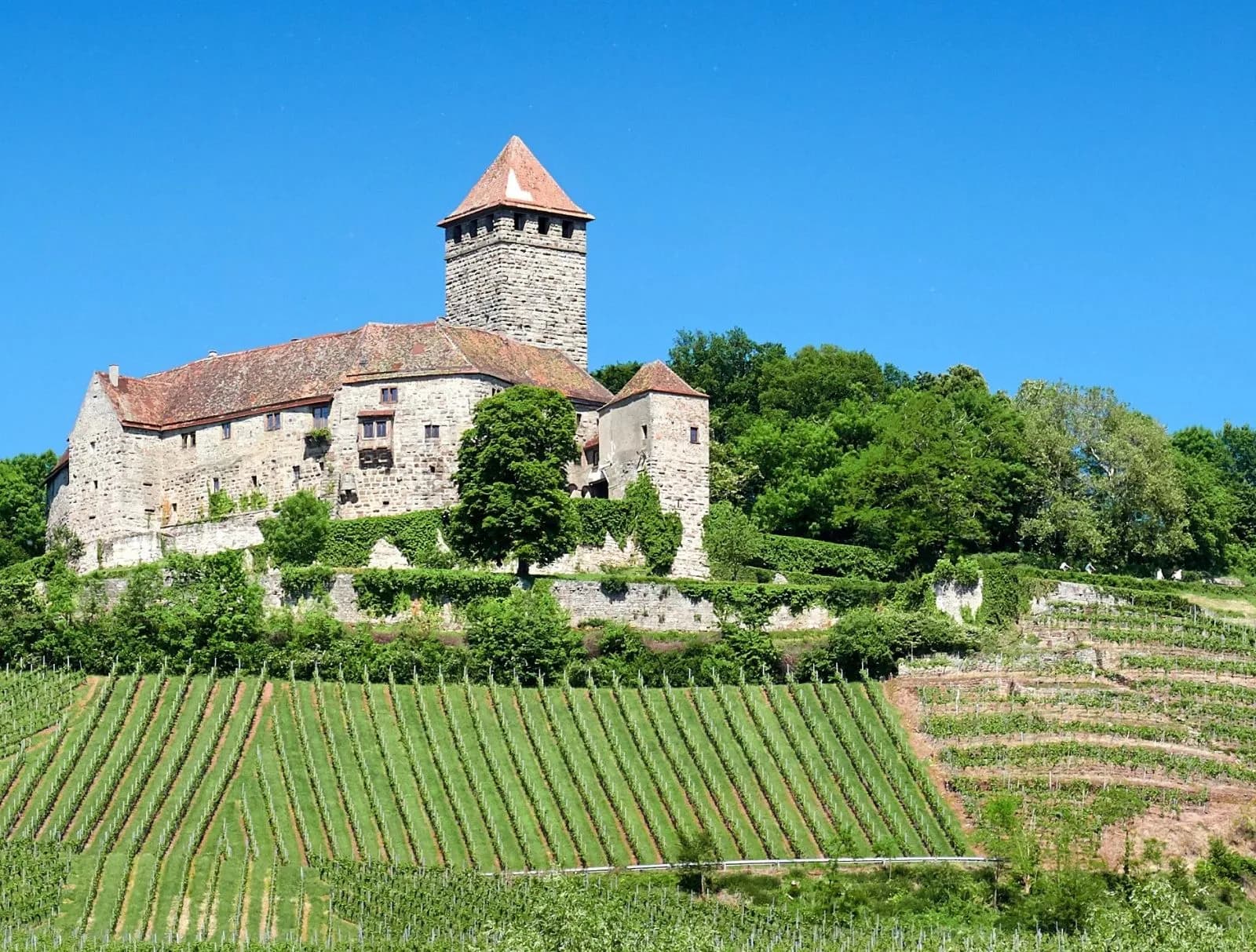 Burg Lichtenberg 2