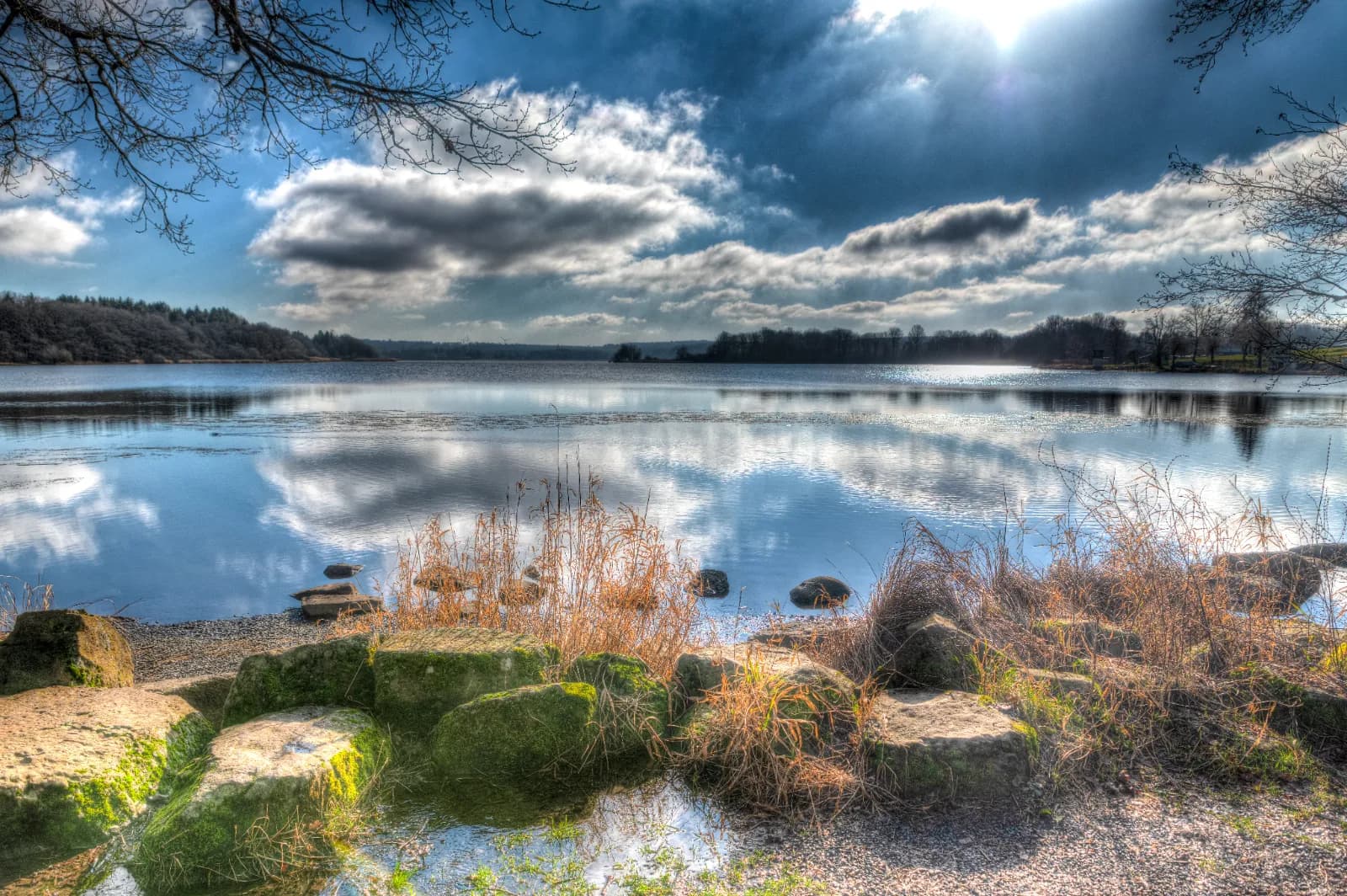 Dreifelder Weiher 1