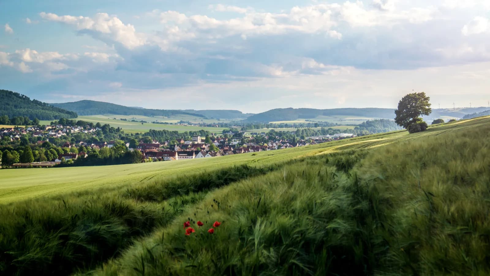 Weserbergland 1