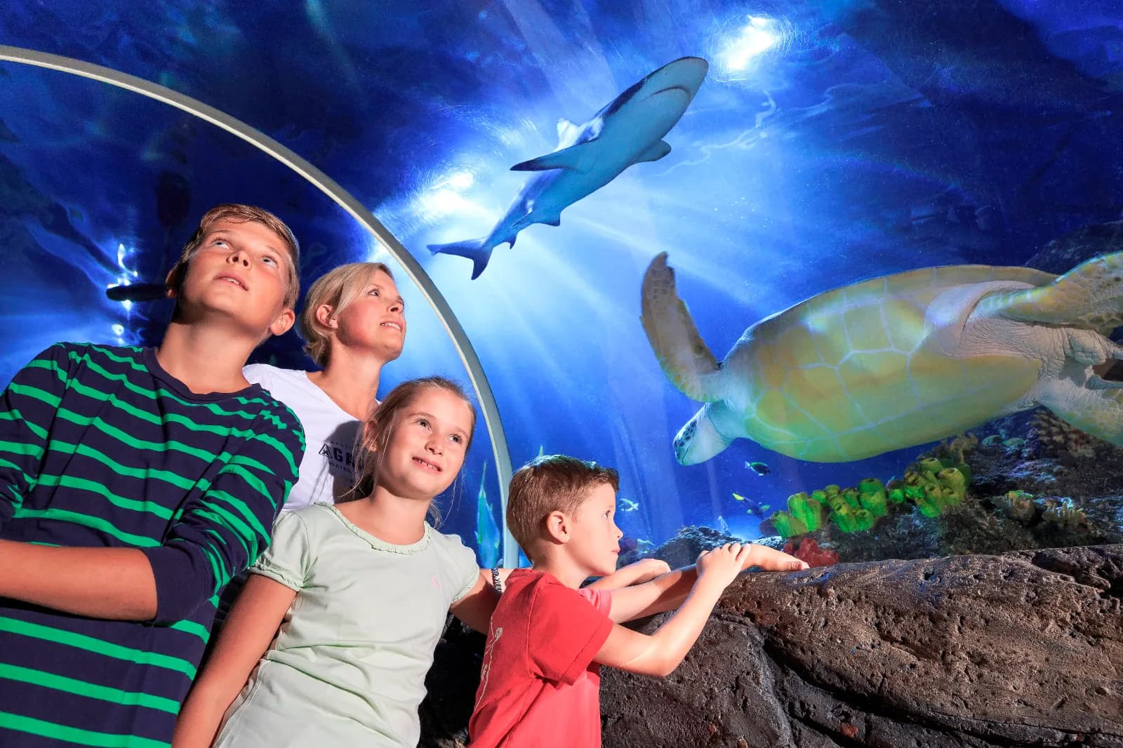 SEA LIFE Timmendorfer Strand 3