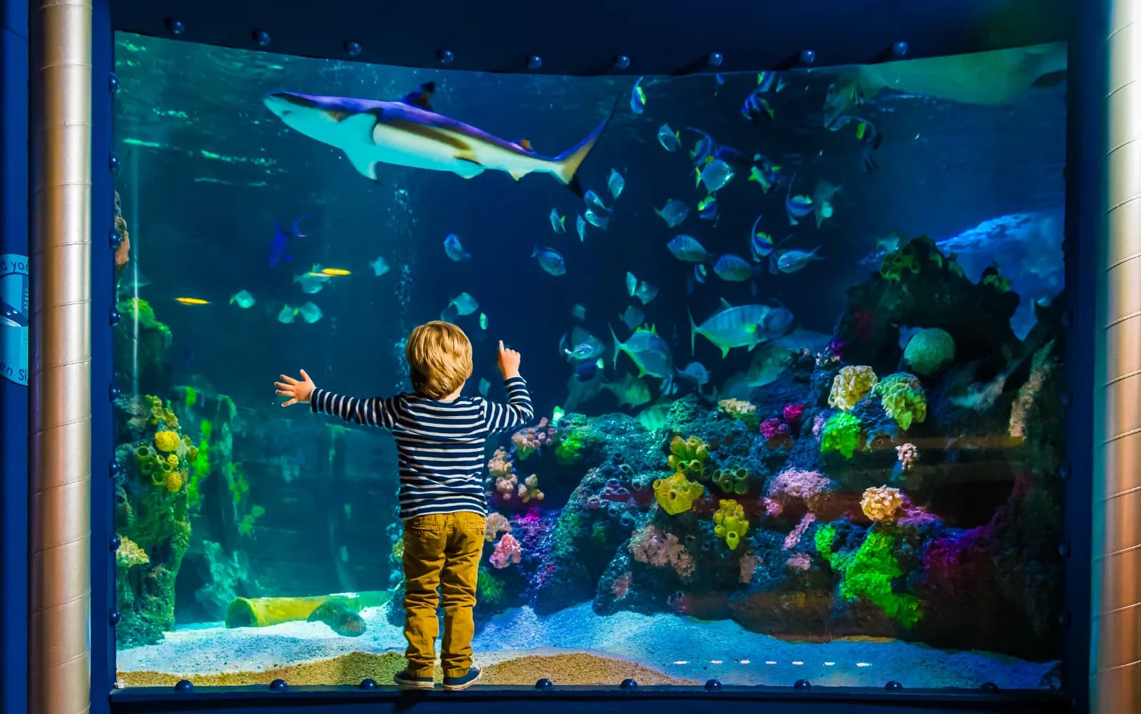 SEA LIFE Timmendorfer Strand