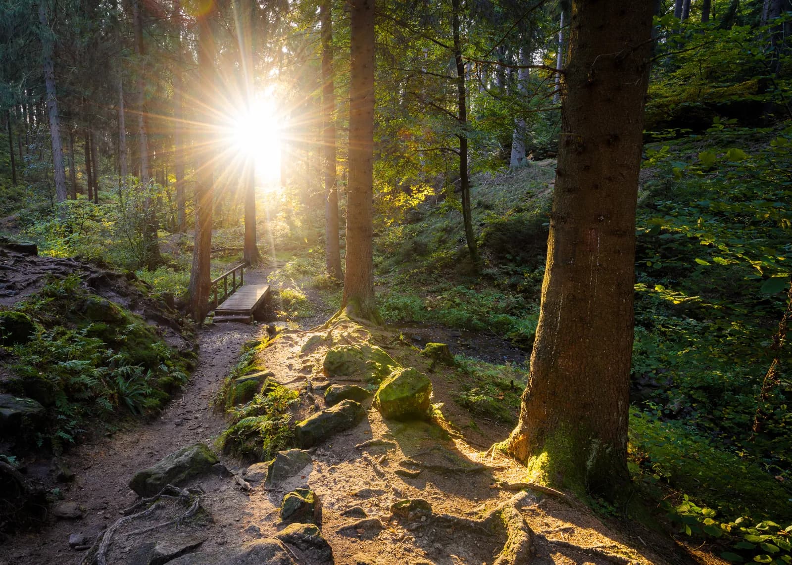 Silberbachtal 1