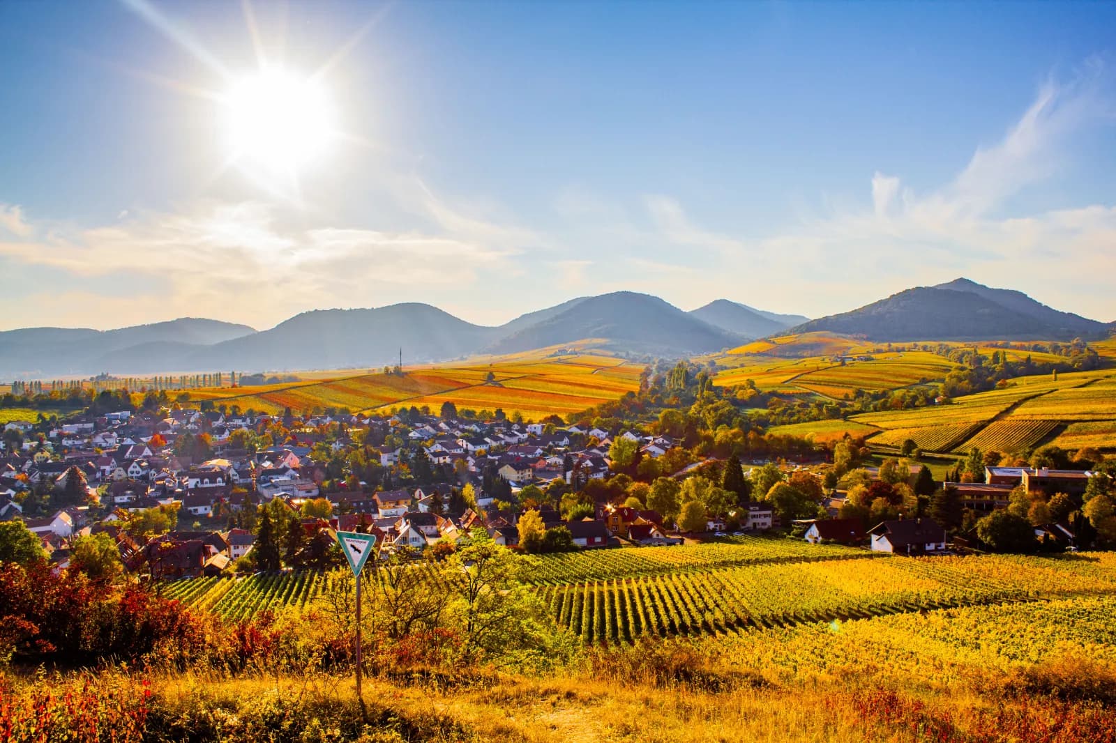 Naturschutzgebiet Kleine Kalmit 1