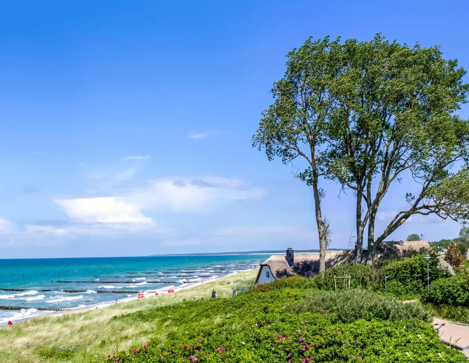 Ahrenshooper Strand 1