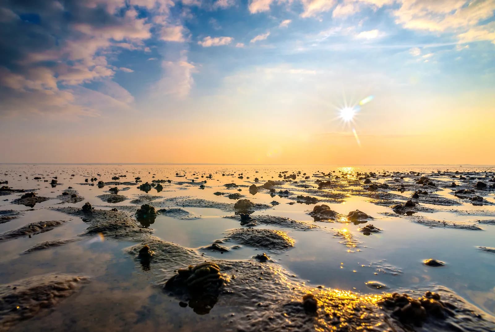 Wattwanderung auf Sylt