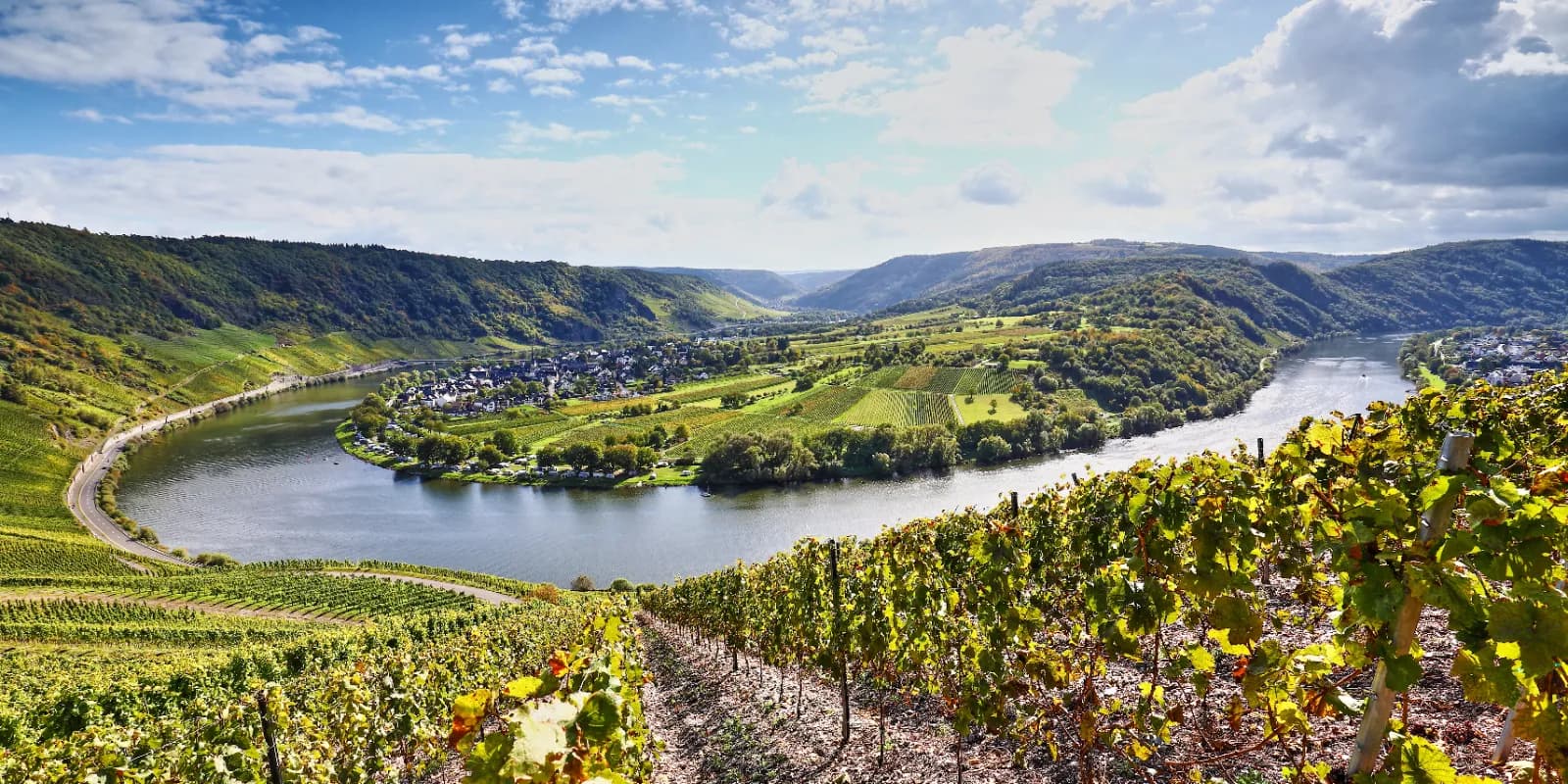 Moselschleife bei Bremm 1