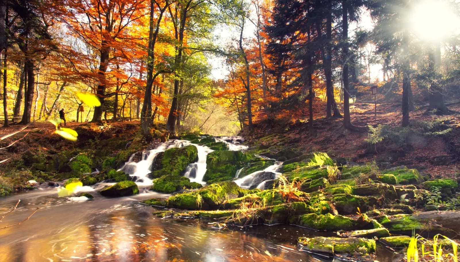 Selkefall im Harz 1