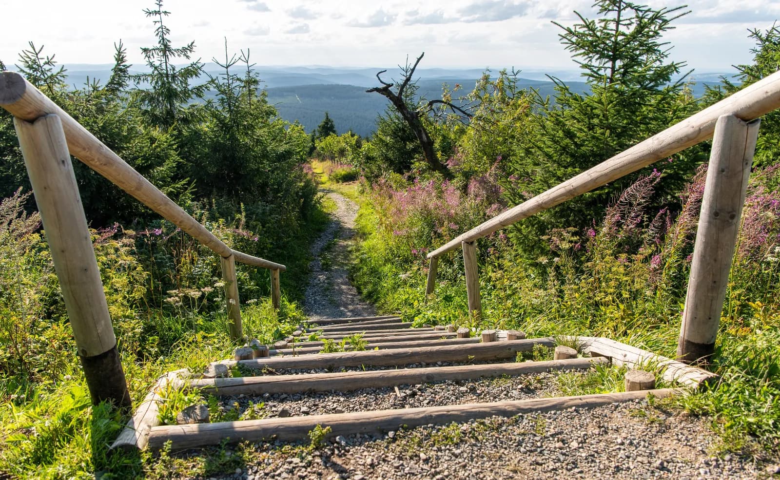 Kammweg Erzgebirge–Vogtland 1