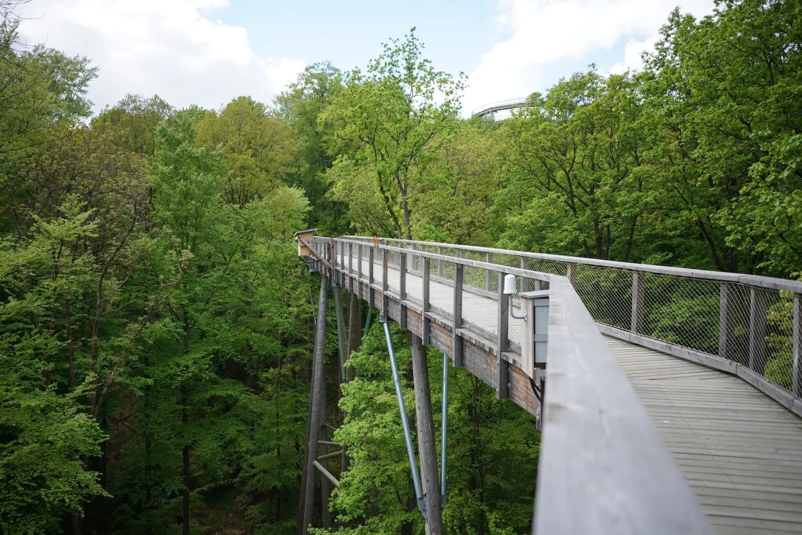 Baumwipfelpfad Steigerwald 3