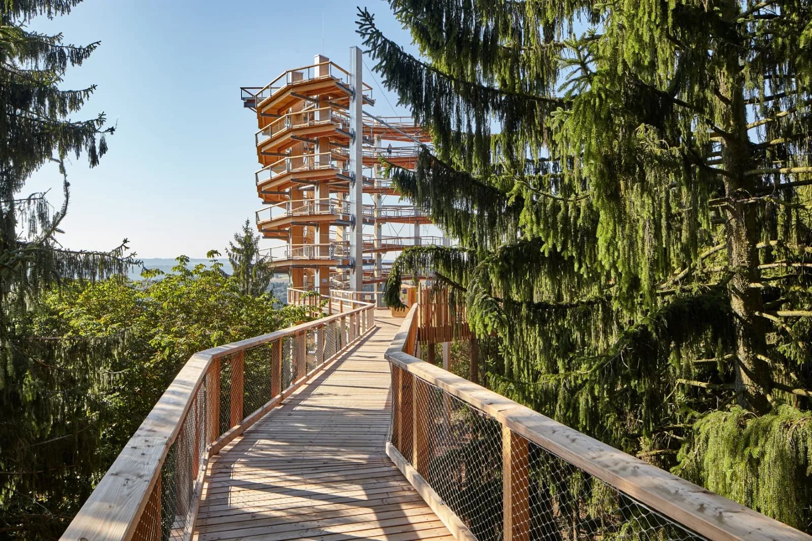 Baumwipfelpfad Saarschleife 1