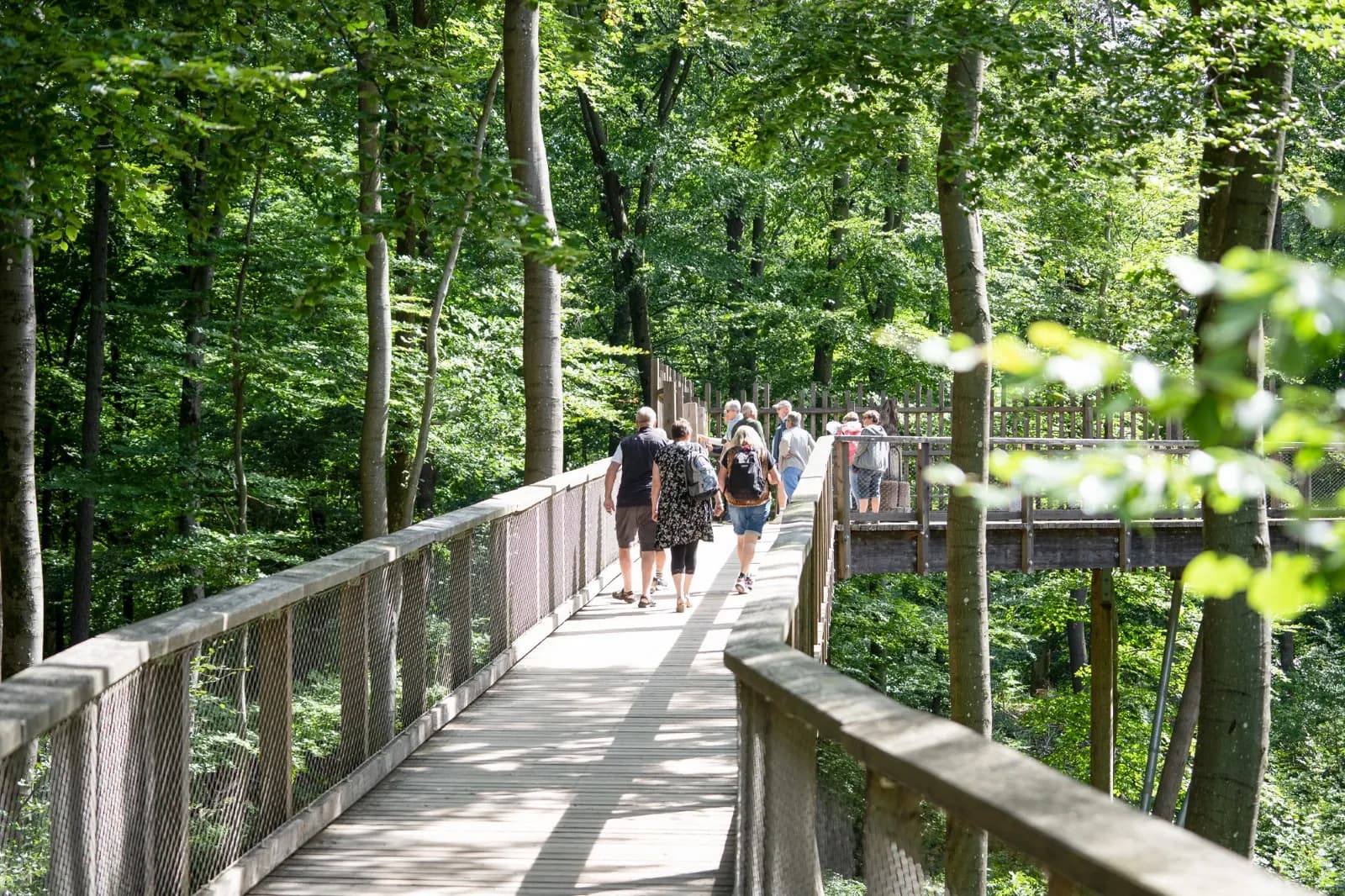 Baumwipfelpfad Saarschleife 2